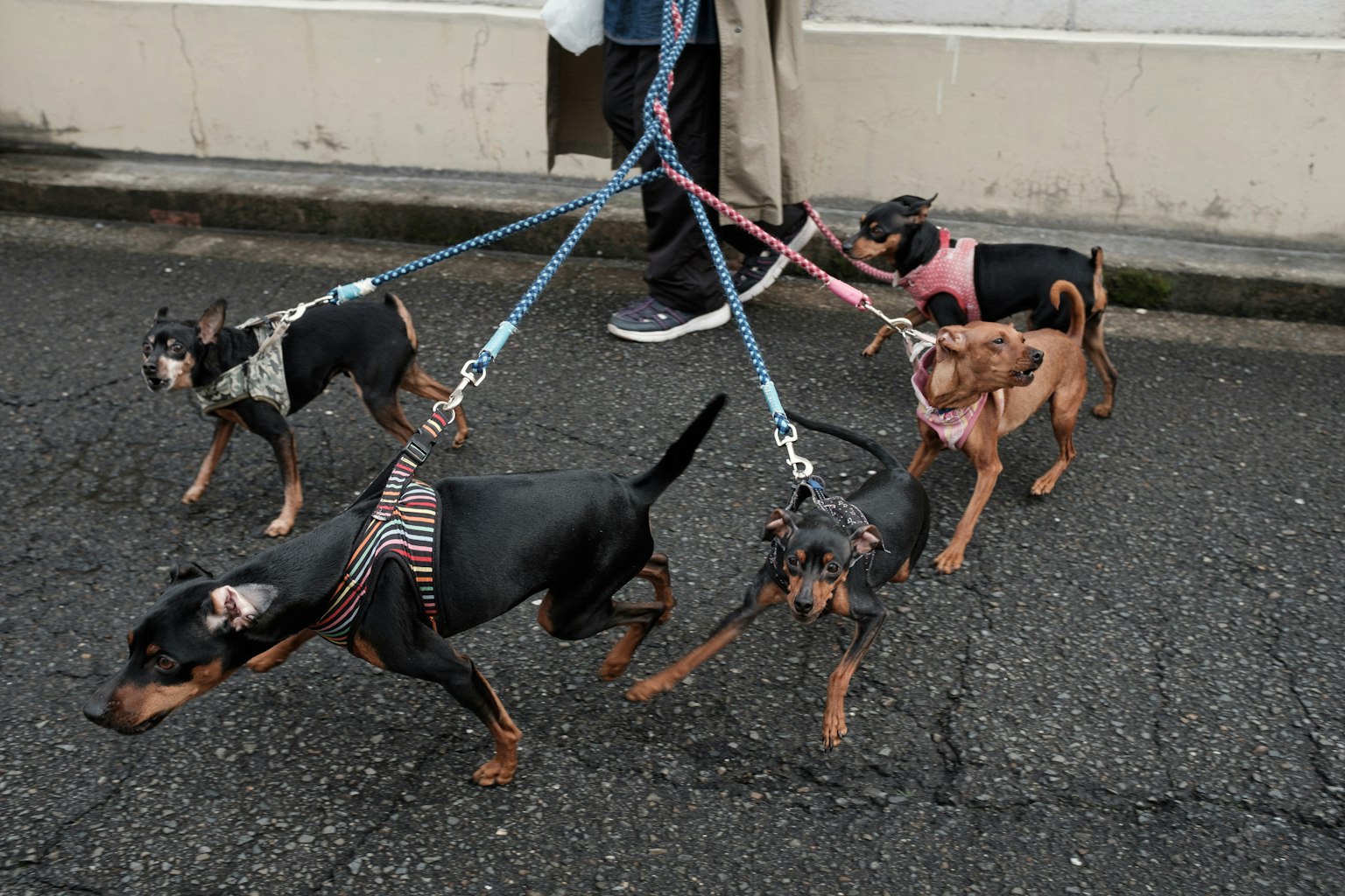 2024-05-live-with-camera-award-image-8