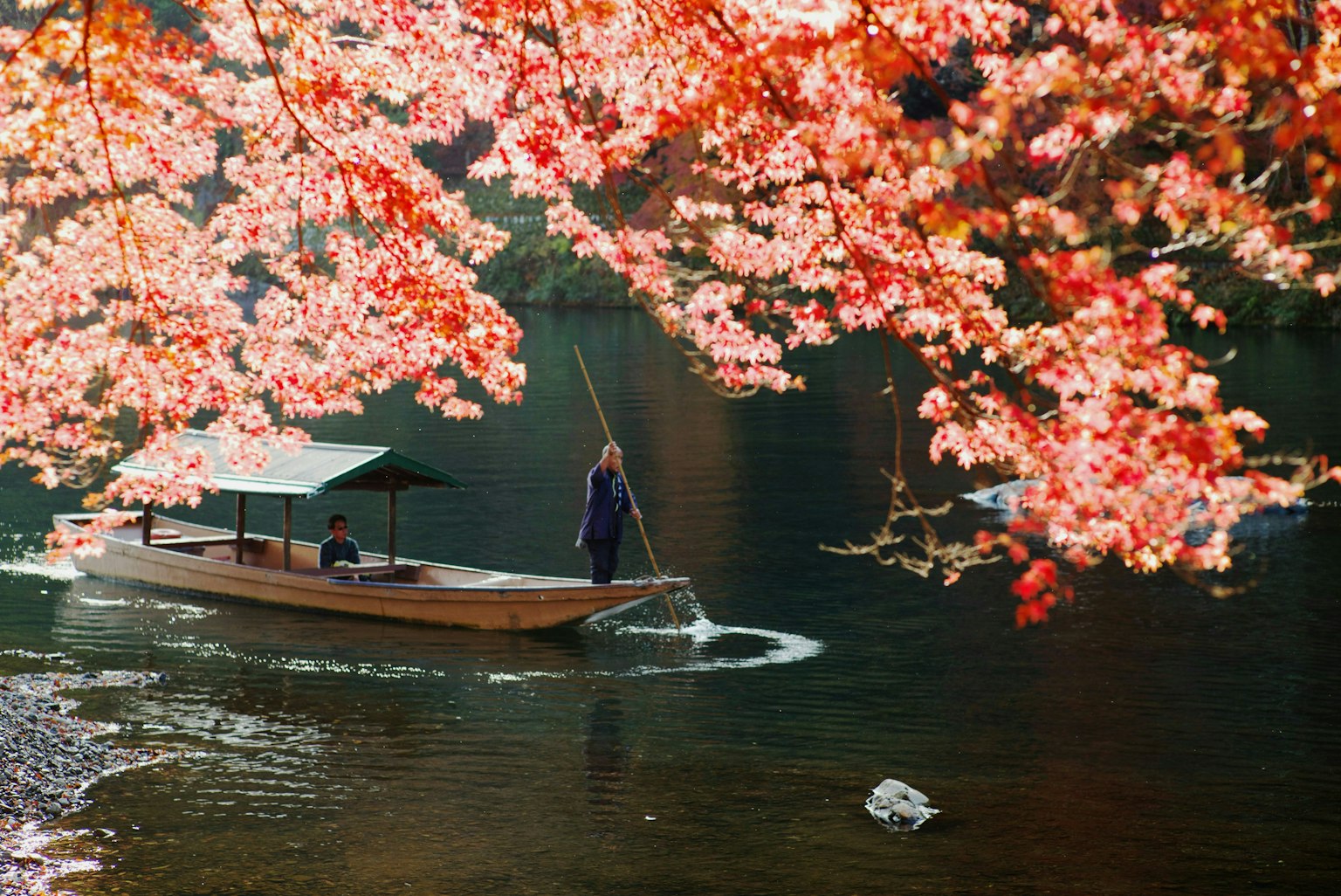 2024-12-pick-up-photos-no-9-13-image-7