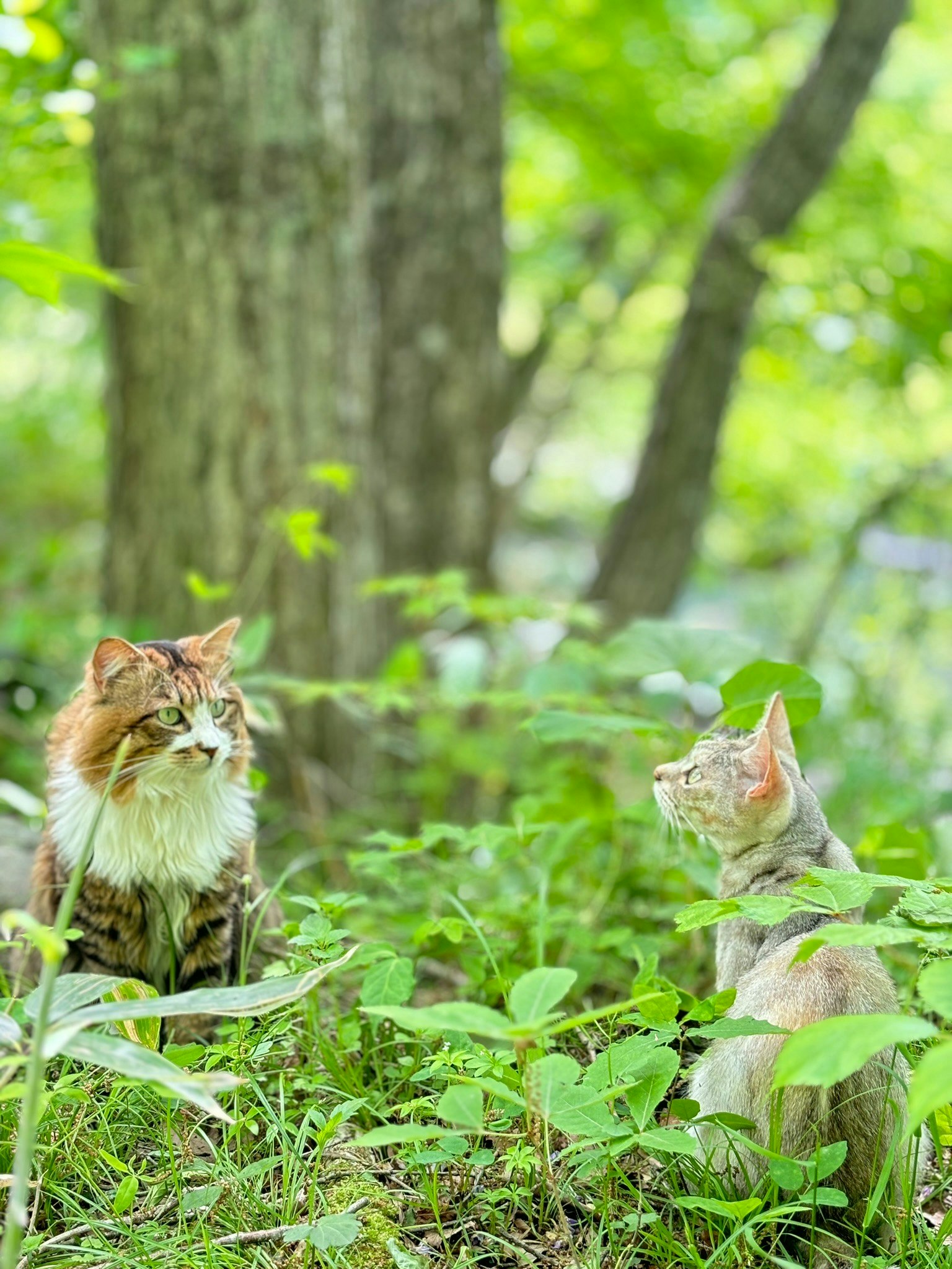 2025-04-pair-report-image-7