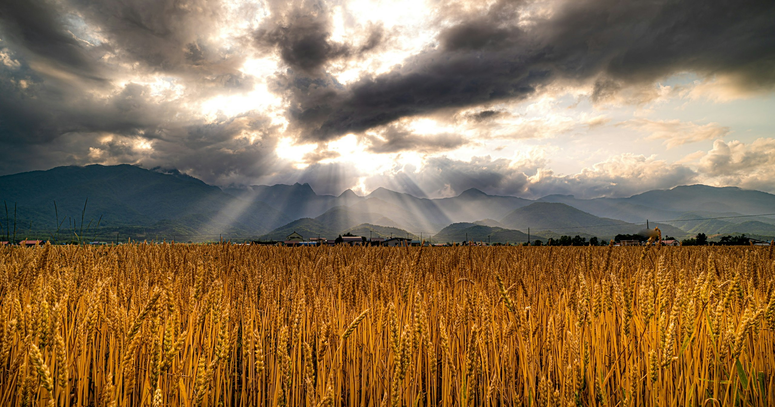 2024-04-hokkaido-cover-image