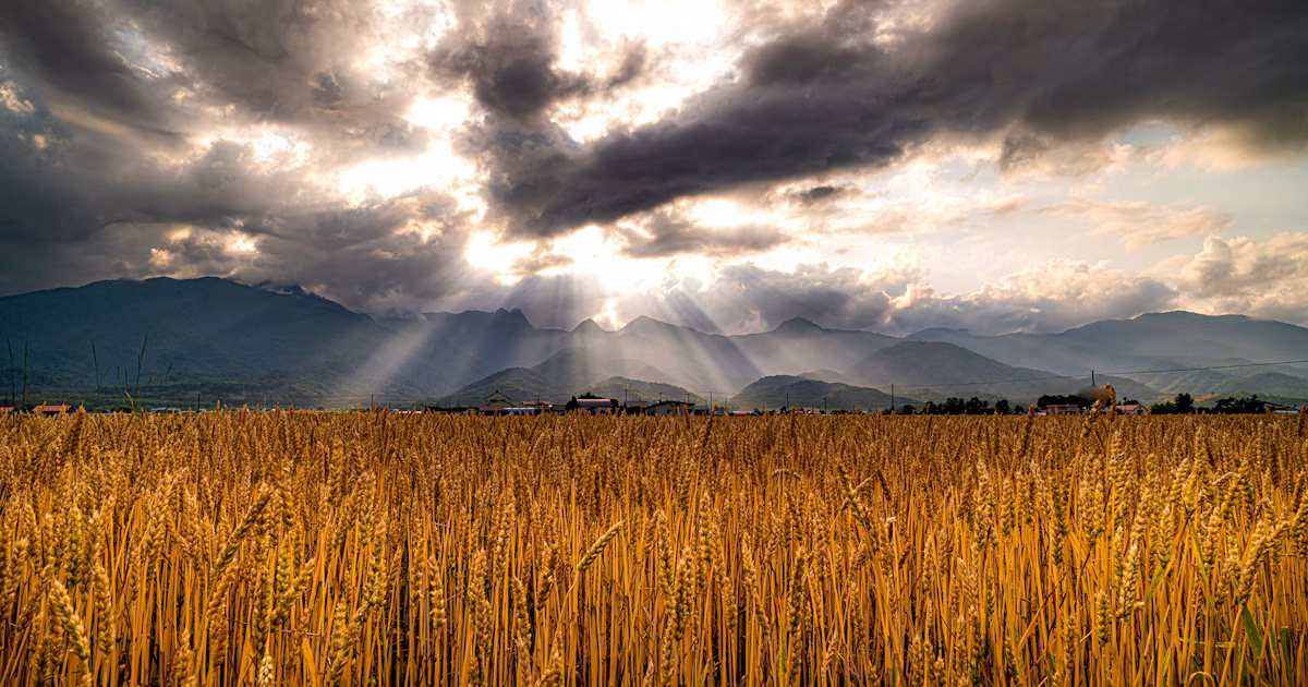 #Hokkaido | Lugares para fotografiar que debes visitar al menos una vez | Focus #71