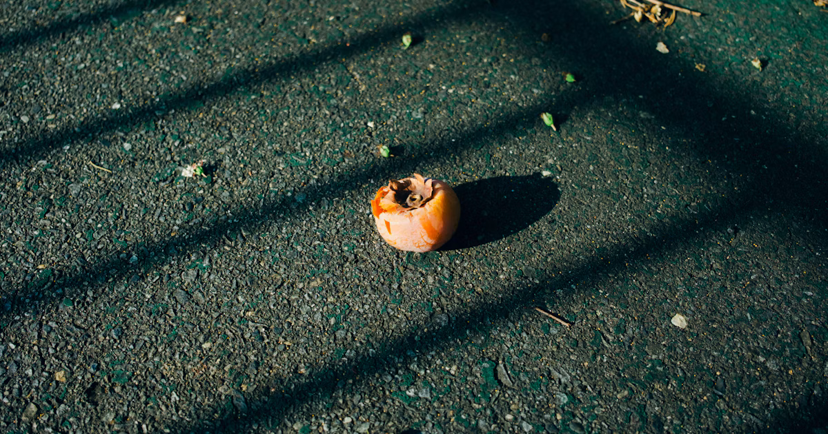 Gewinnerbekanntgabe für den cizucu-Fotowettbewerb „Round Things“ | Challenge #416