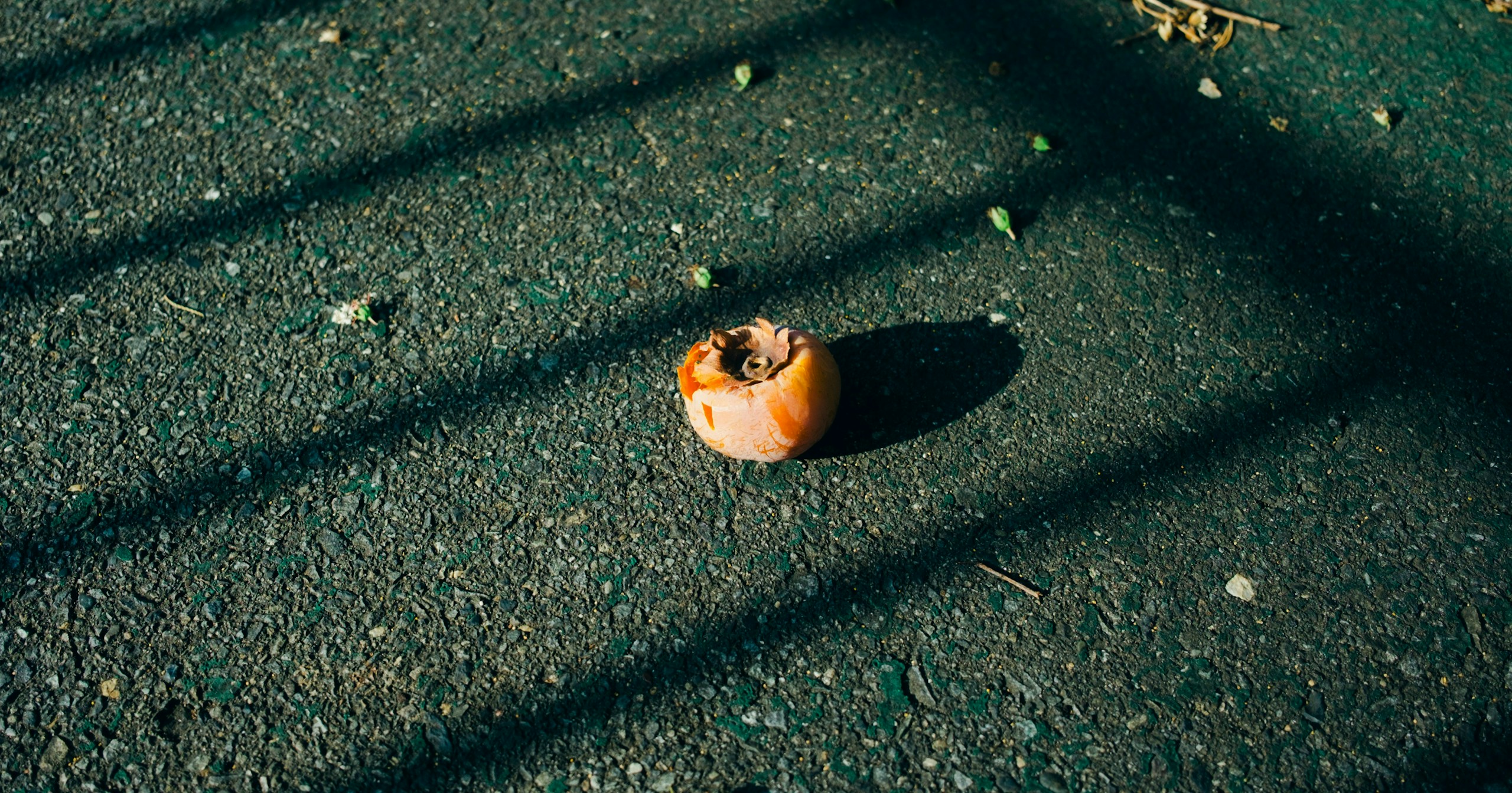 Ganadores de «Round Things», el concurso de cizucu | Challenge #416