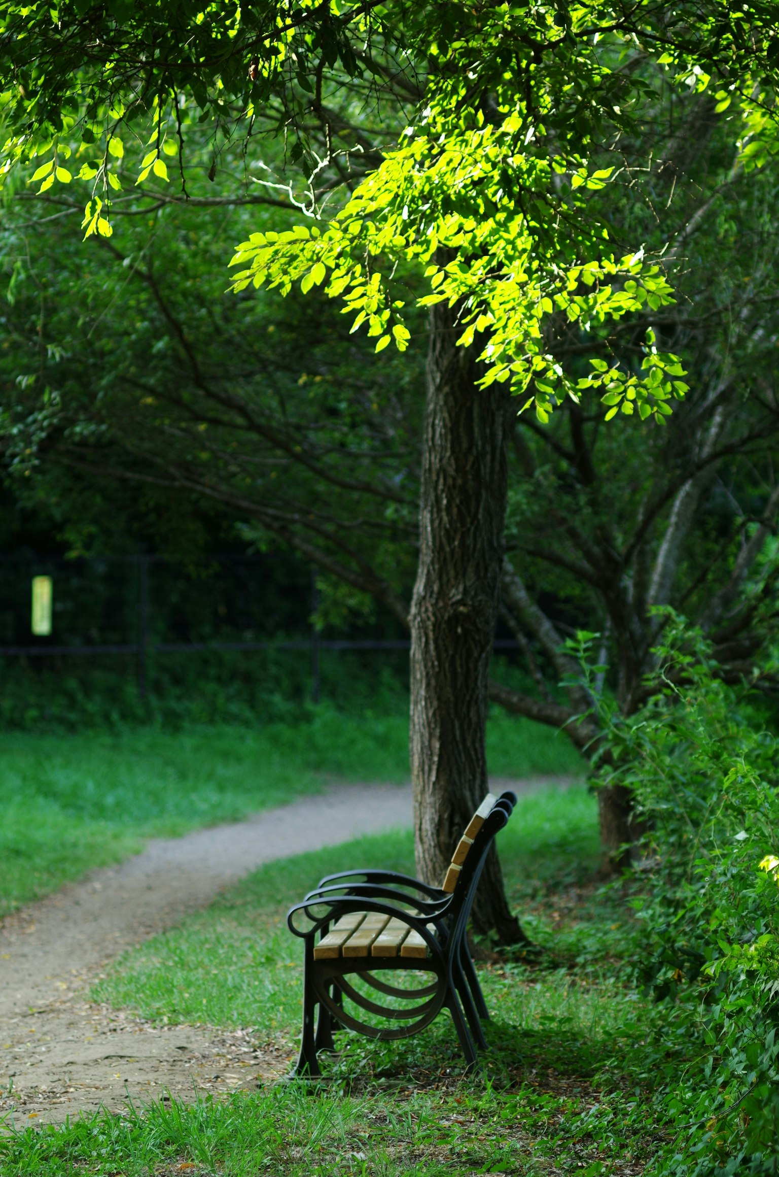 2025-08-nature-report-image-7