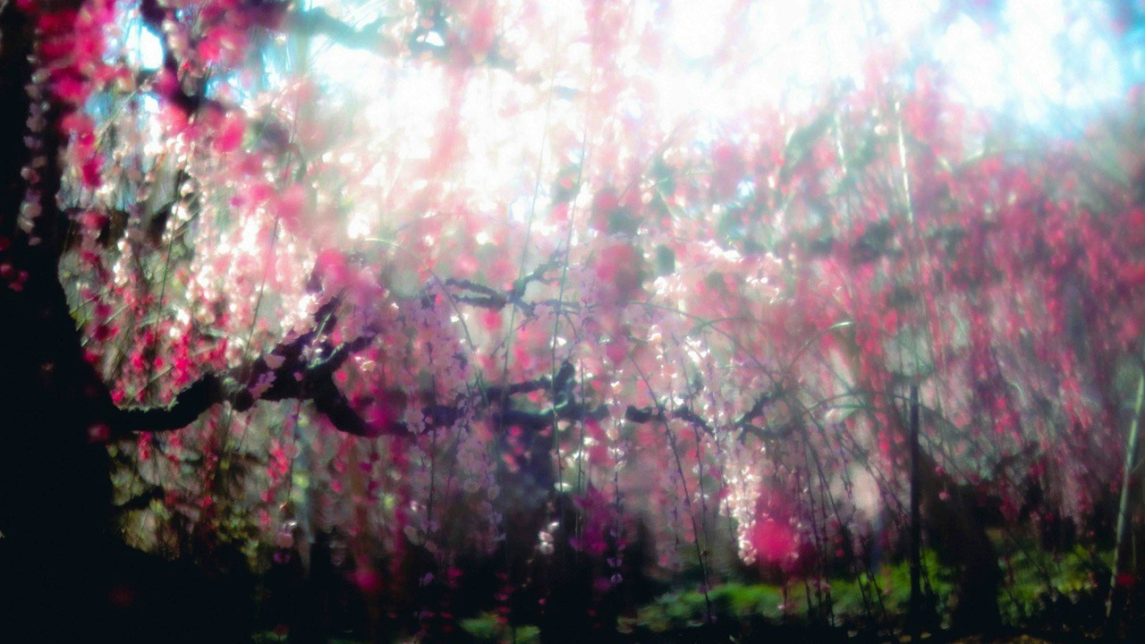 Image by hide