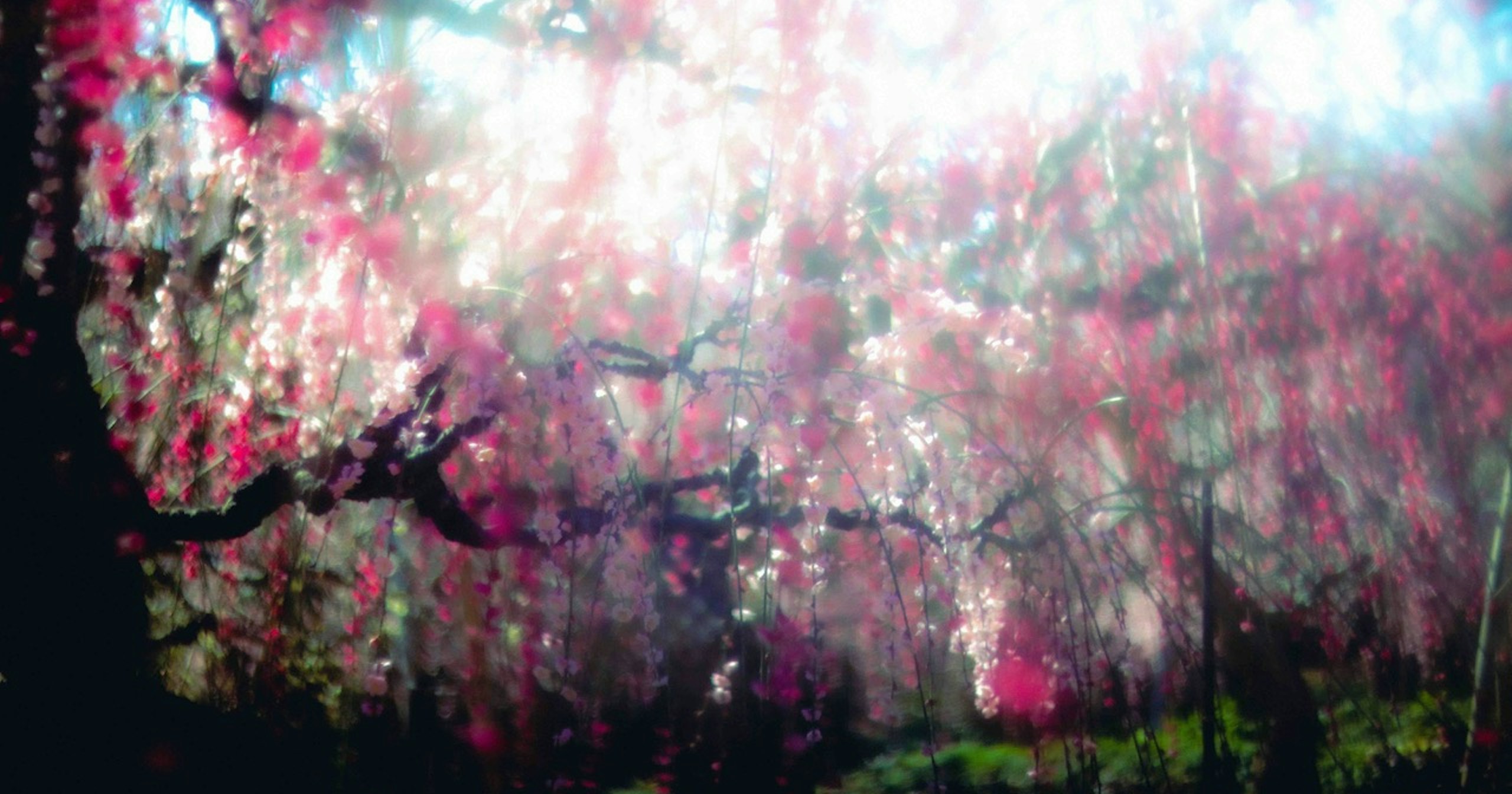Living as a Photographer and Hairdresser | 10 Questions for Hidenobu Suzuki | ISSUE #4