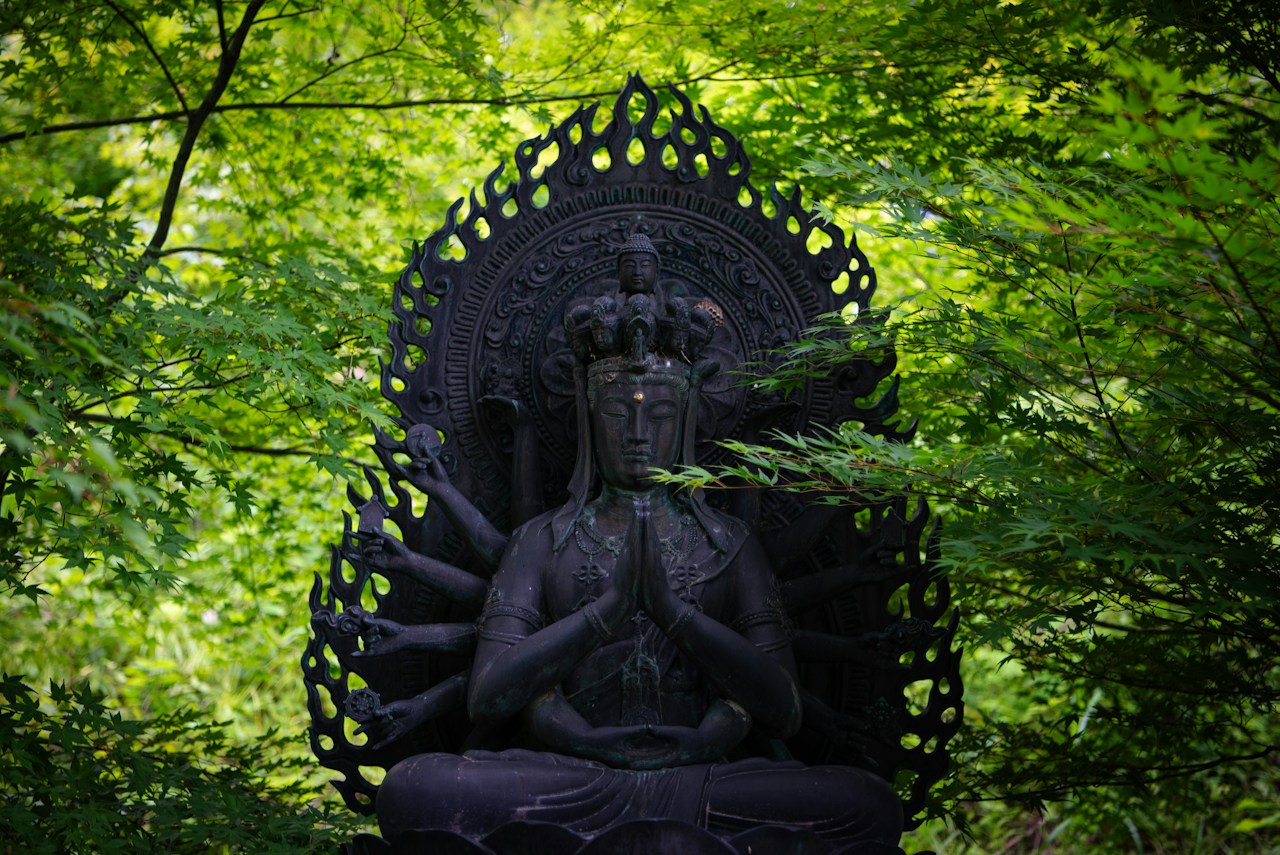 Image by Jang Kumi