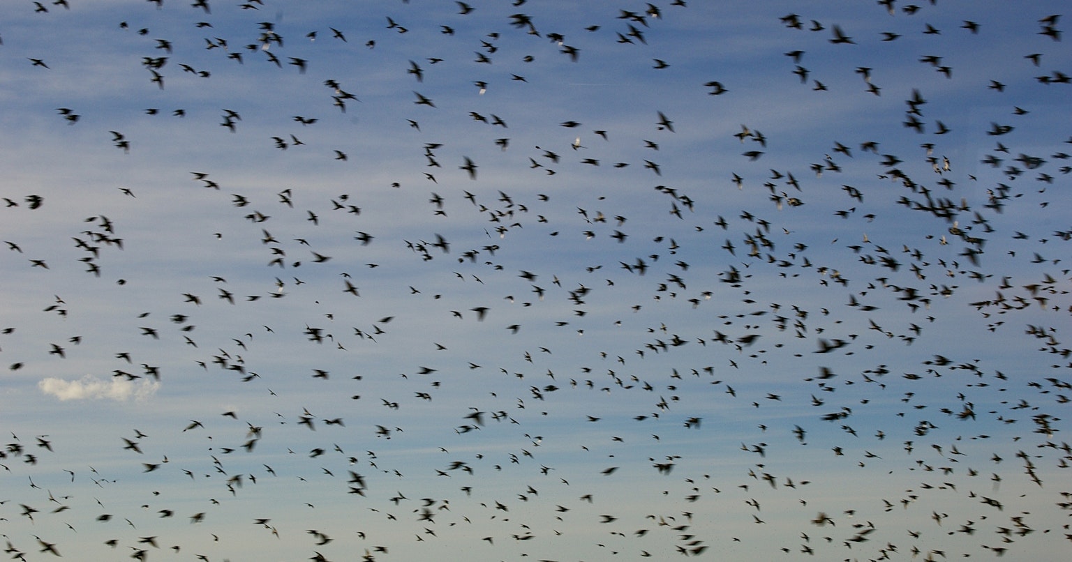 2024-09-google-photo-updated-cover-image