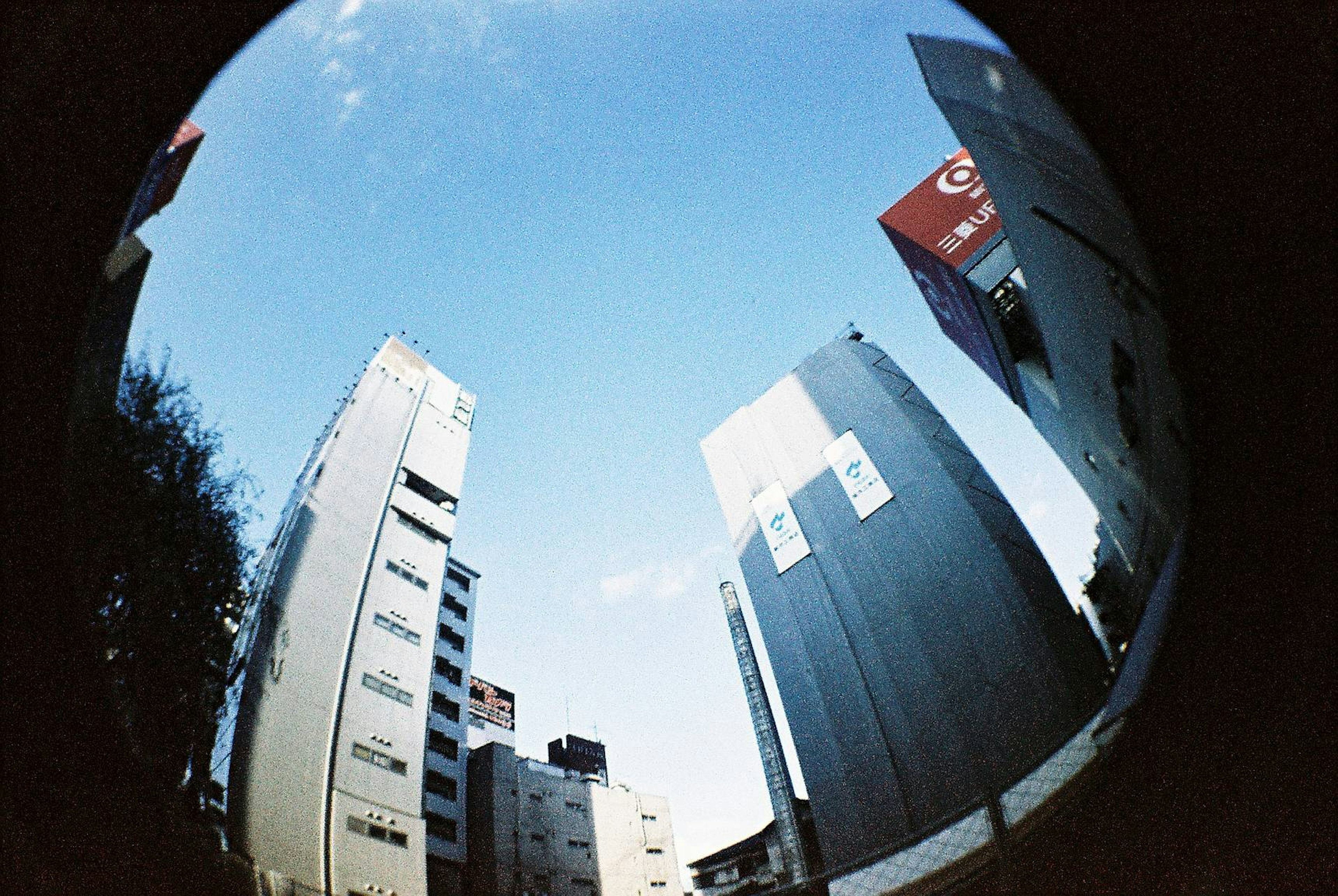 2024-03-fisheye-no-2-image-5