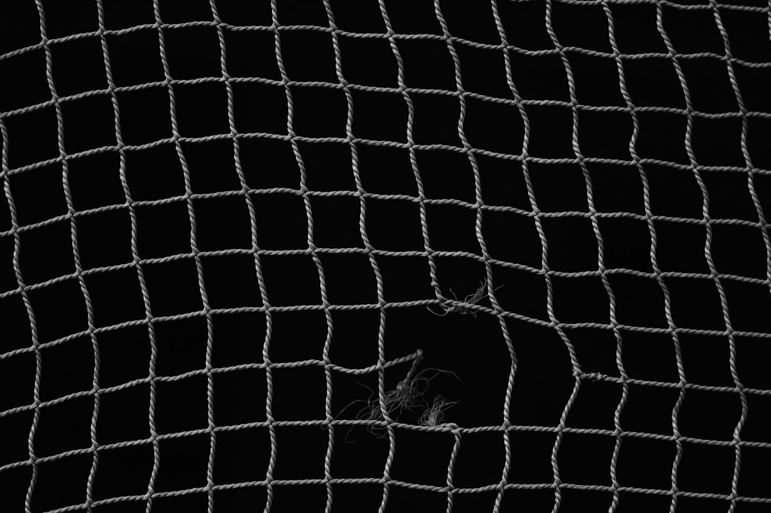 2025-08-humor-in-photography-image-2