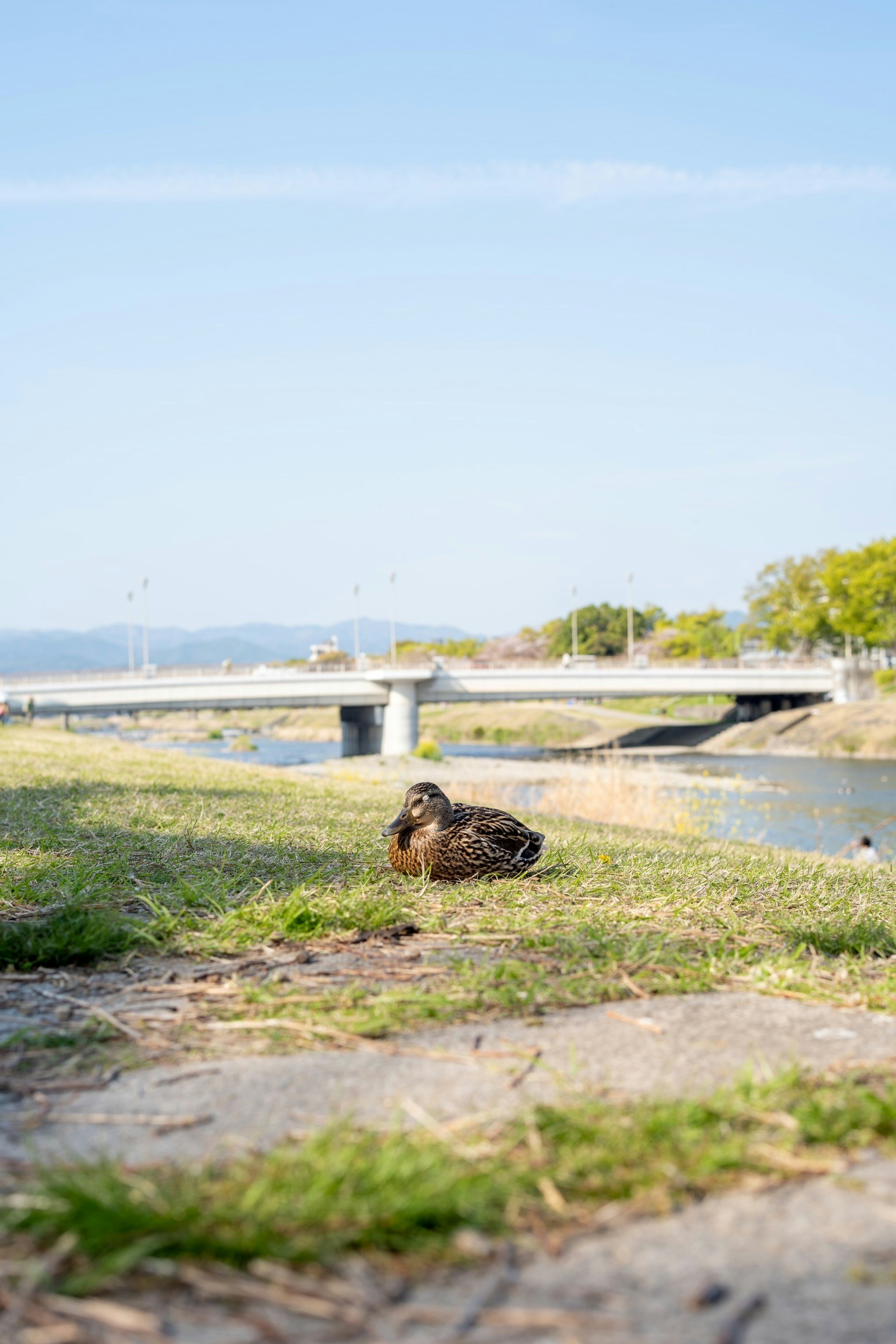 Image by yuya4four