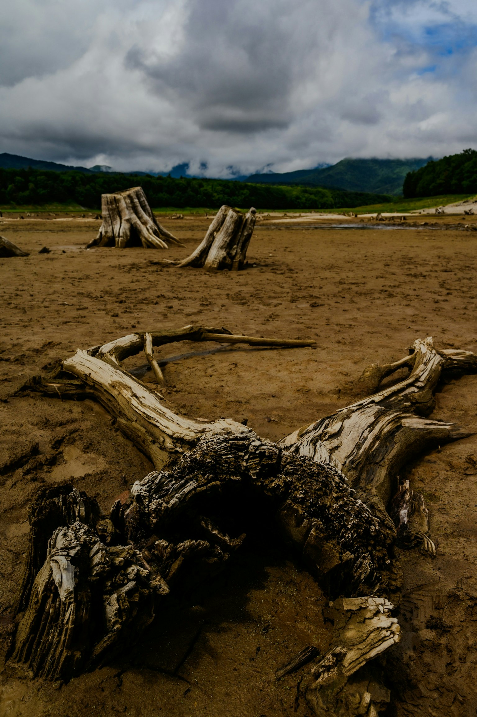 2025-09-pick-up-photos-no-199-203-image-5