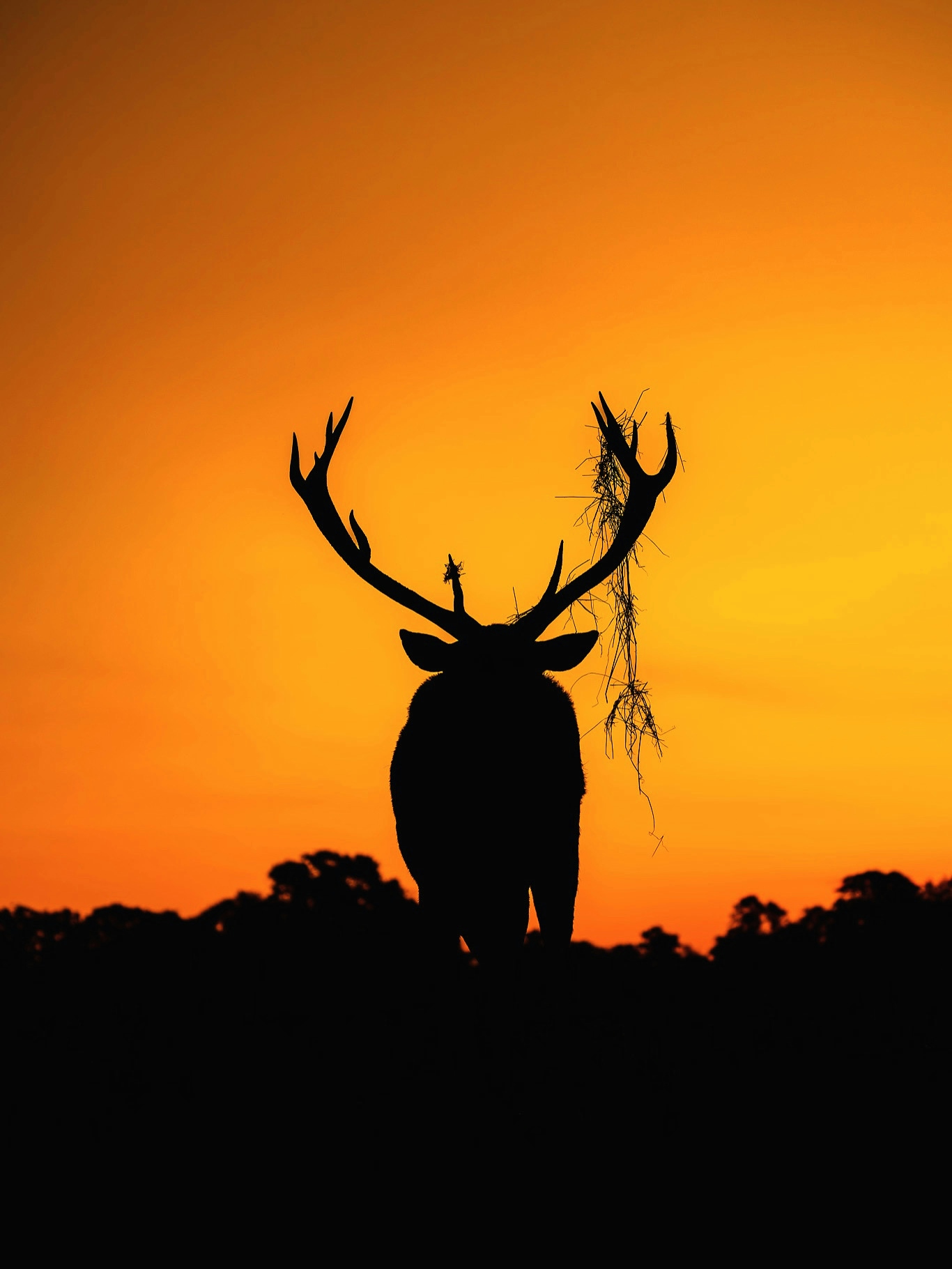 2026-04-find-new-pieces-silhouette-image-22