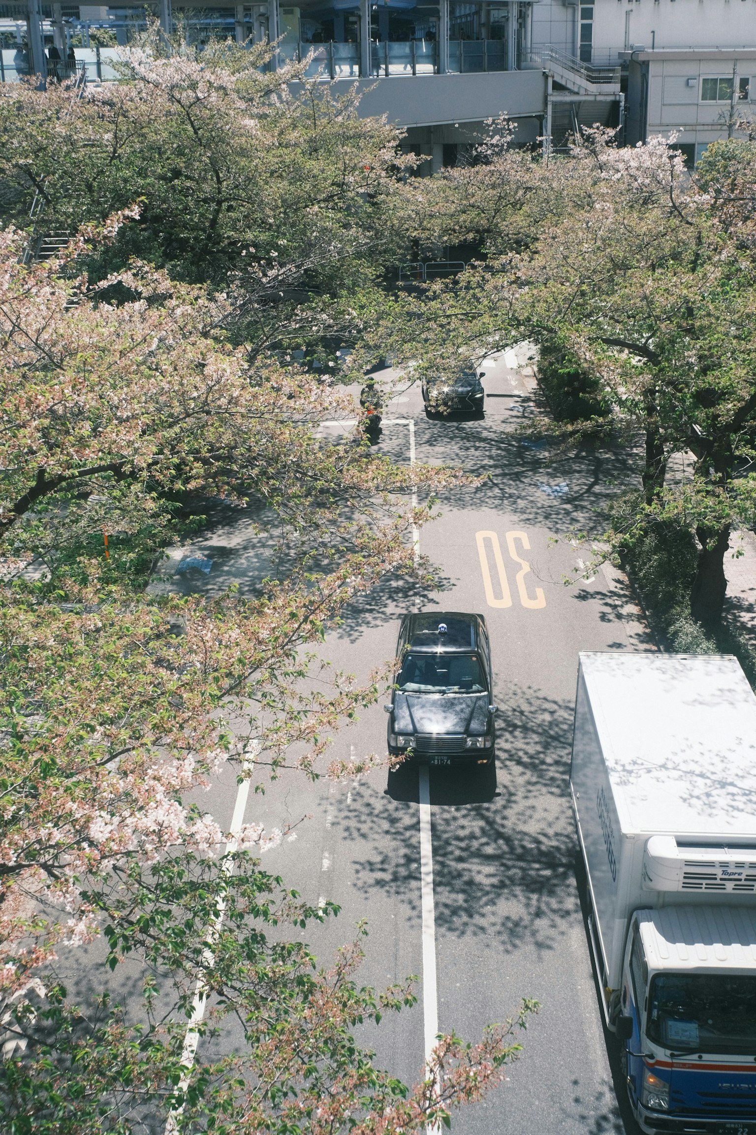 2025-10-digital-nostalgia-in-photography-image-4