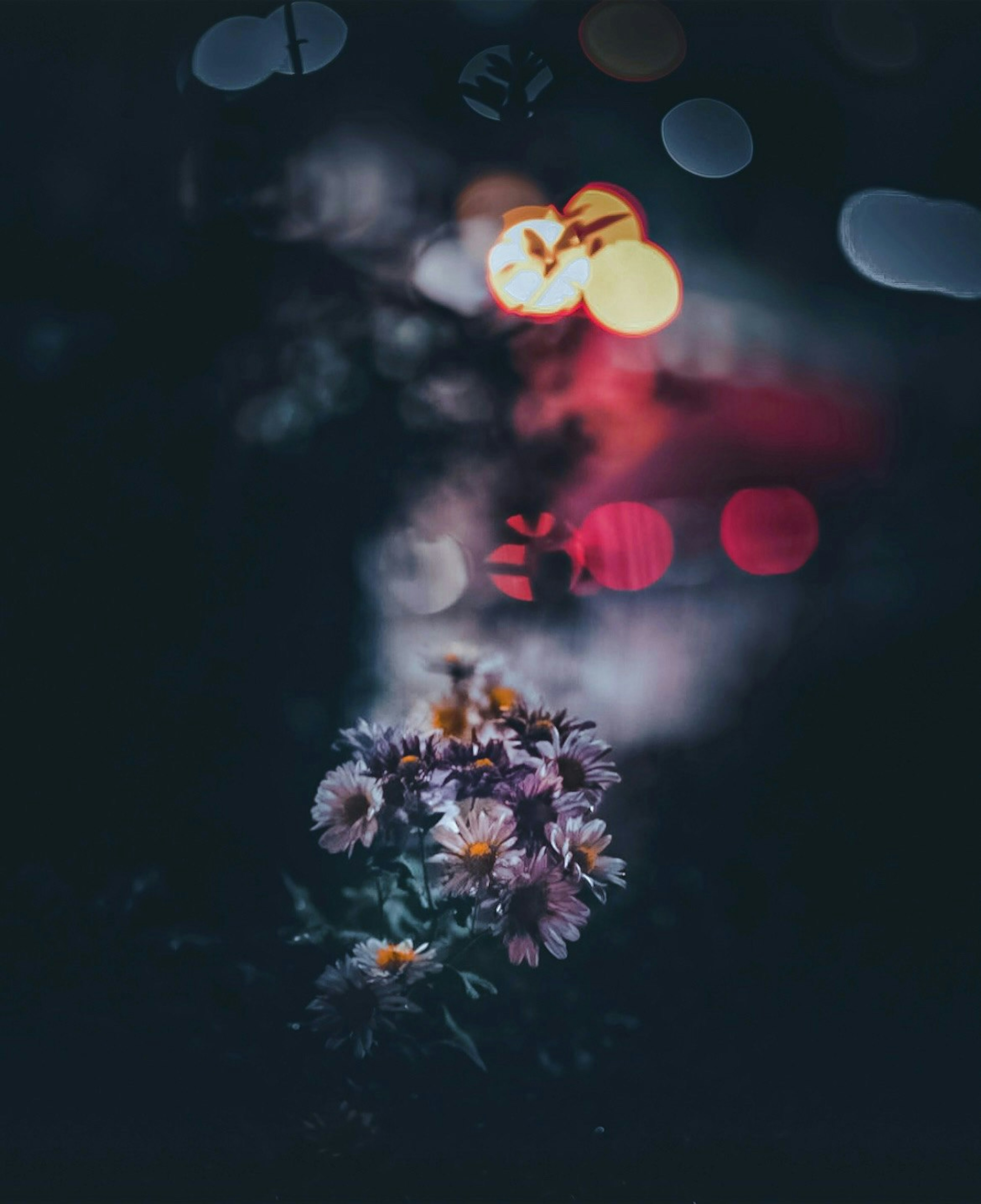 2024-11-illumination-bokeh-photography-image-15