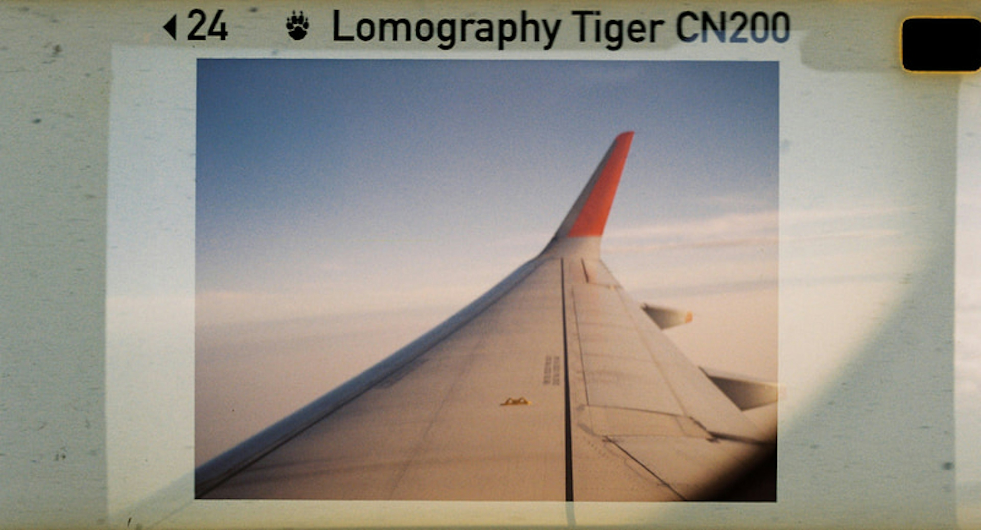 2024-03-lomomatic-110-image-11