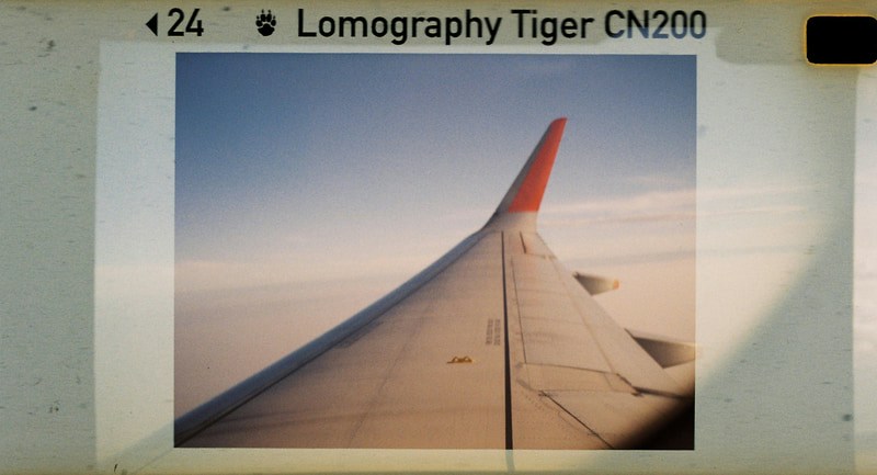 ©︎ Lomography