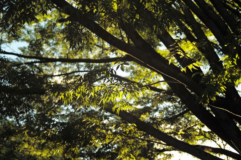 2024-05-leica-light-lens-lab-image-10