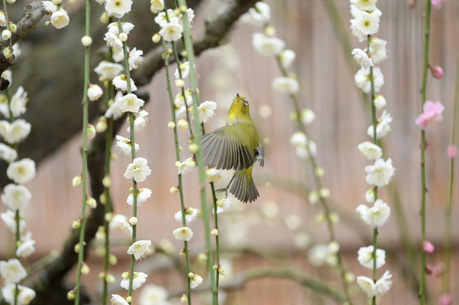 2025-03-encounter-with-camera-image-18