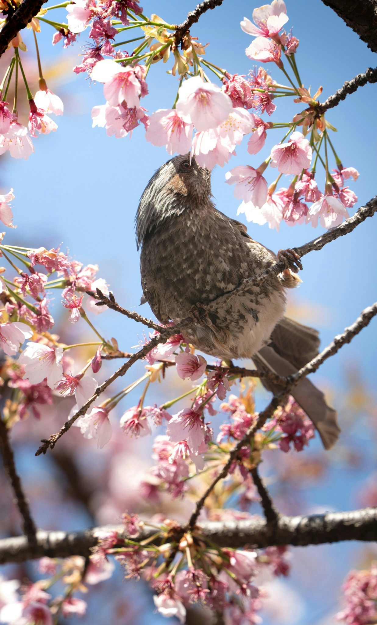 2026-05-find-new-pieces-spring-image-18