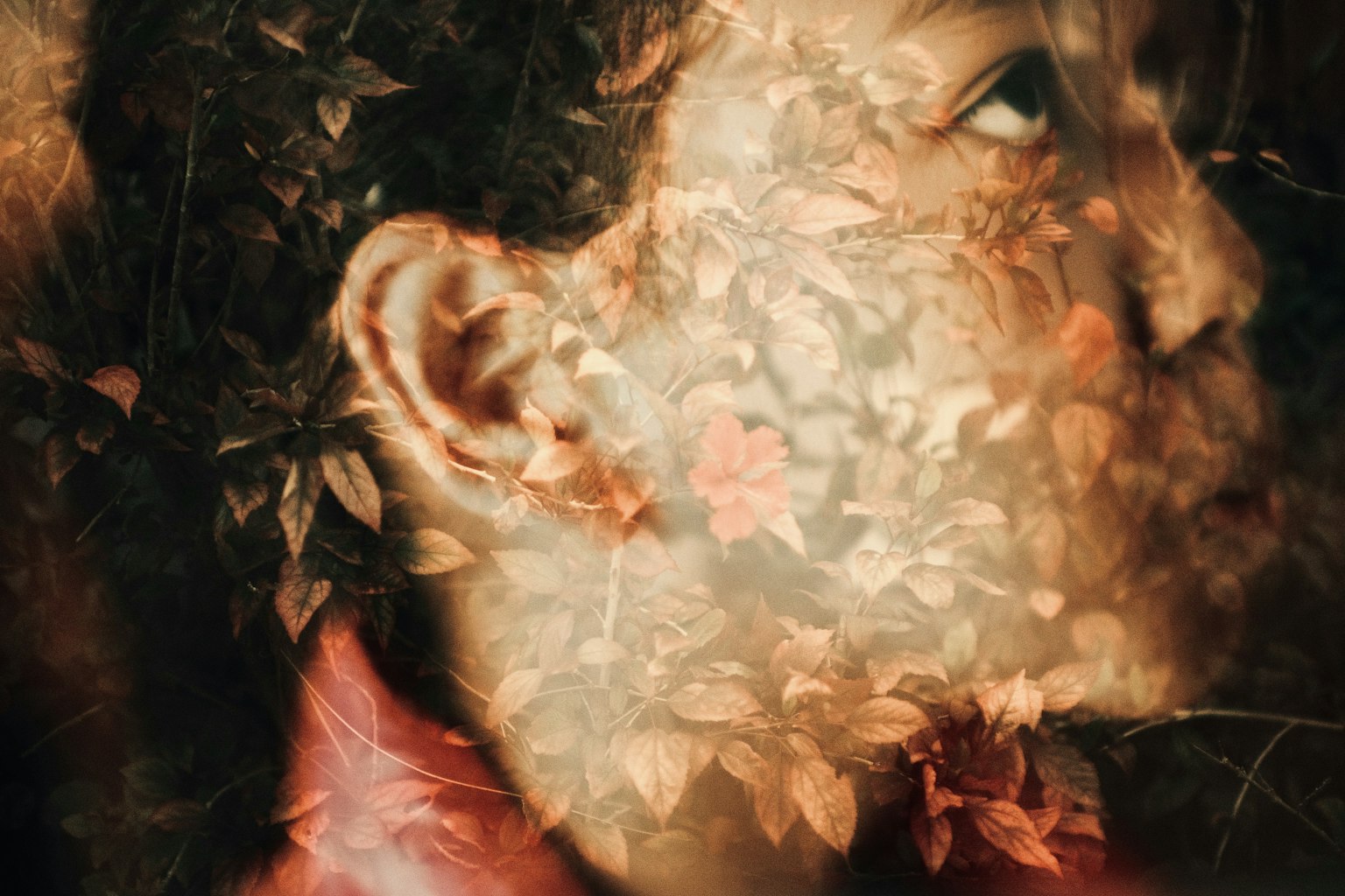 2025-05-pictorialism-image-2