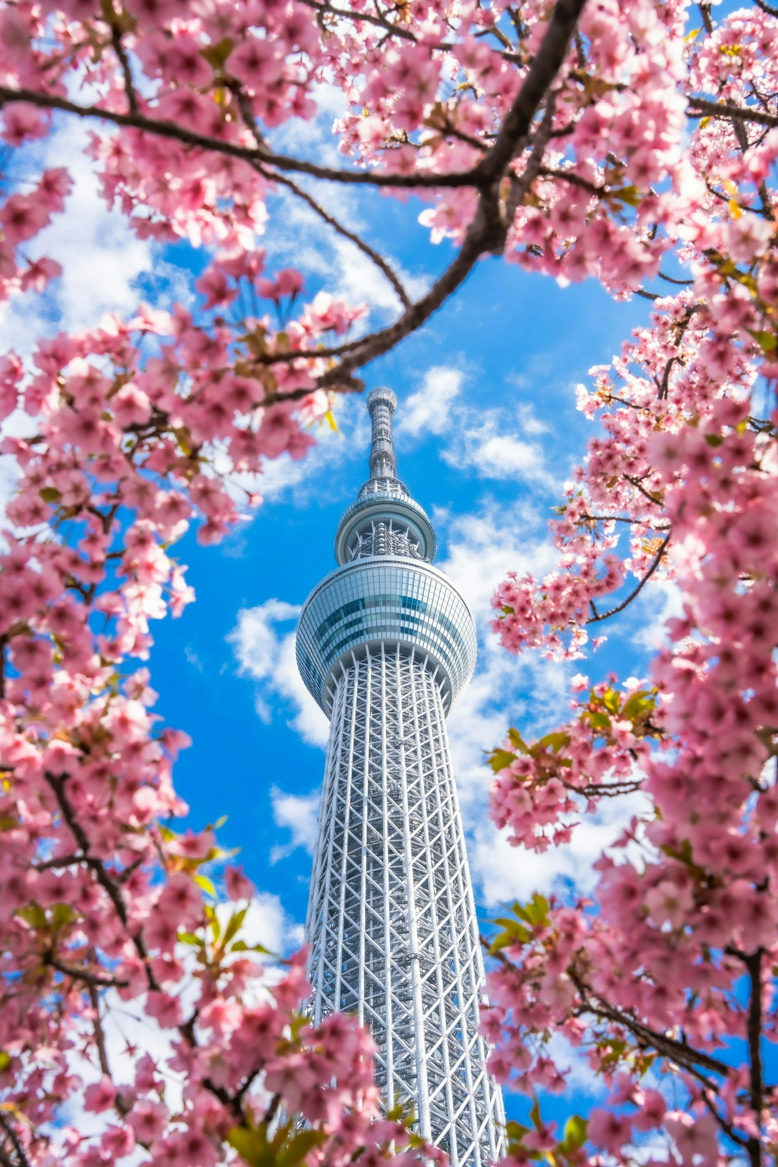 2025-04-pick-up-photos-no-84-88-image-3