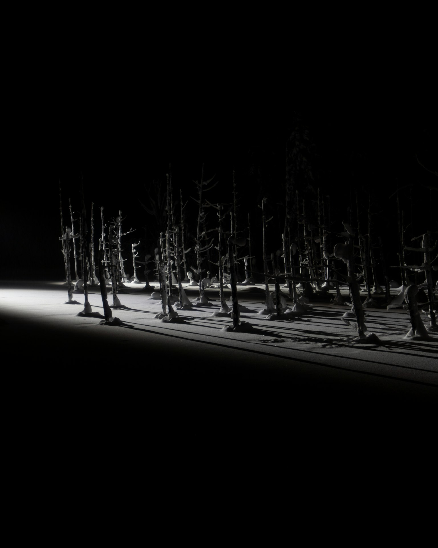 2024-03-shadow-image-5
