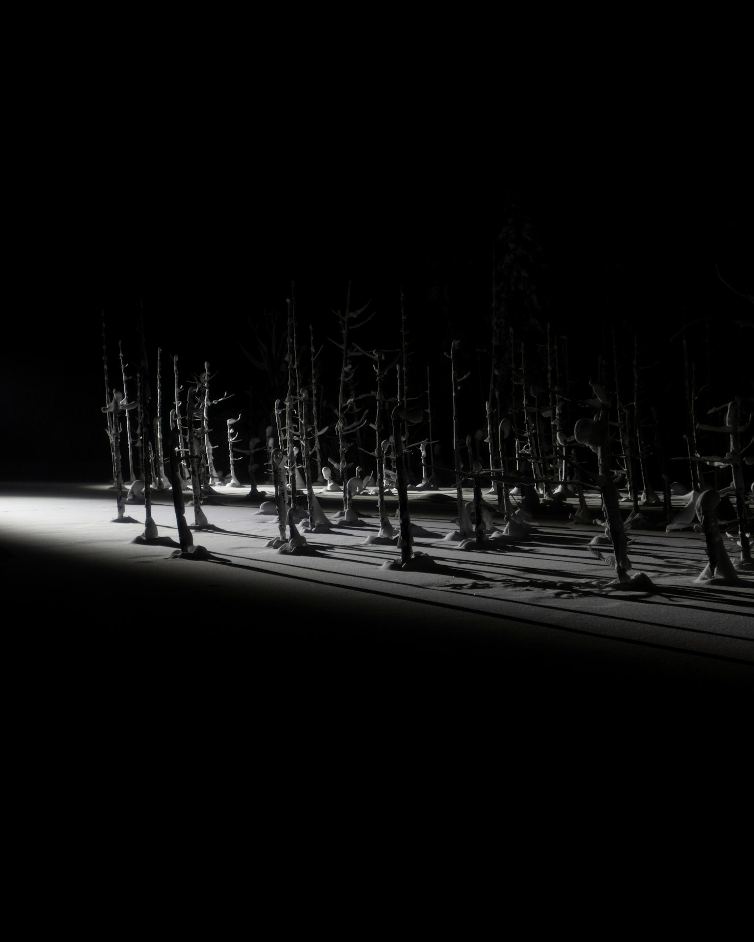 2024-03-shadow-image-5