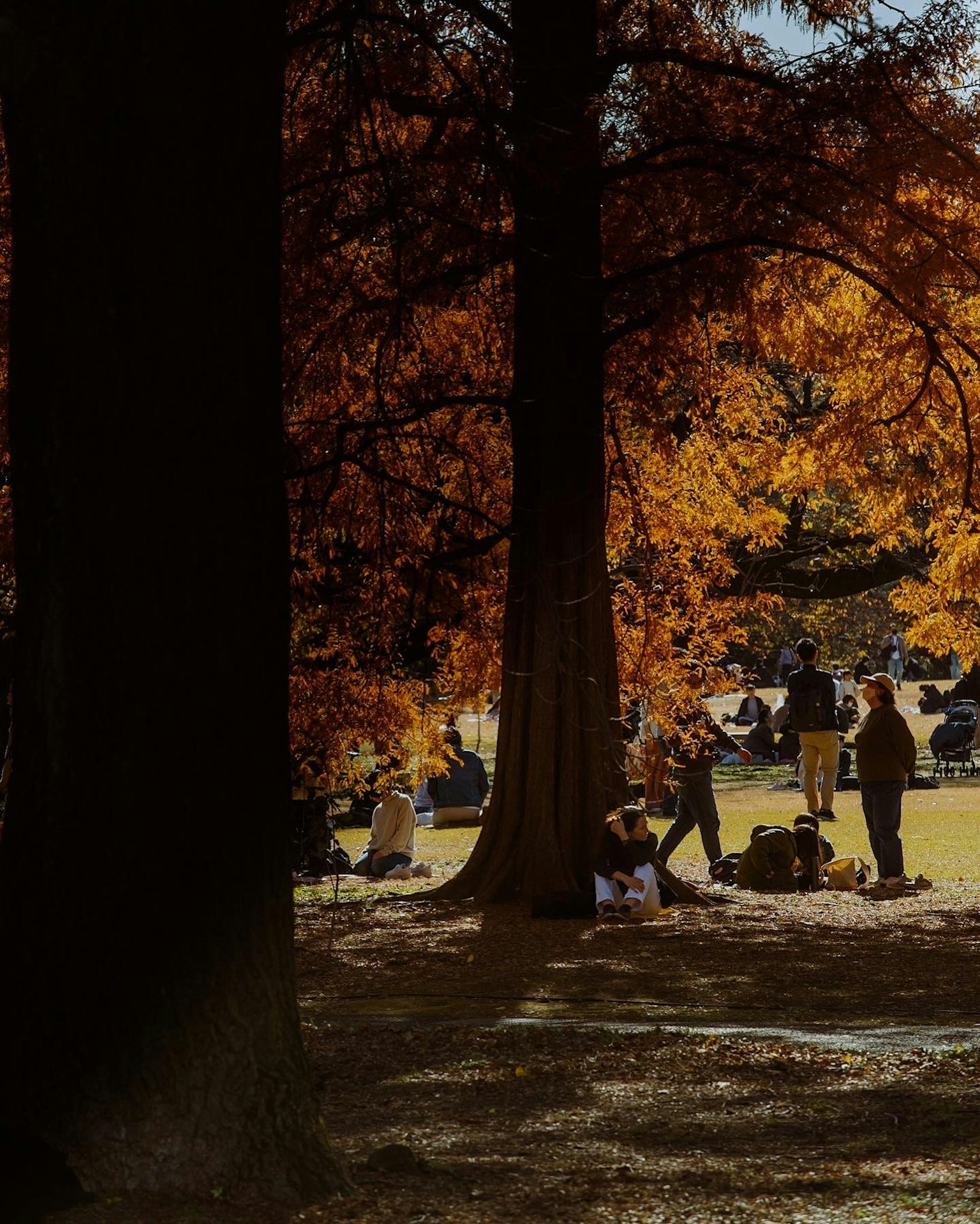 2023-09-autumn-image-7