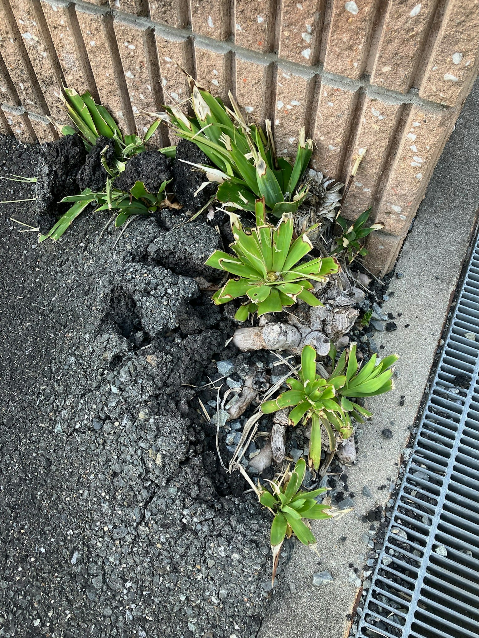 2023-09-green-day-award-image-8