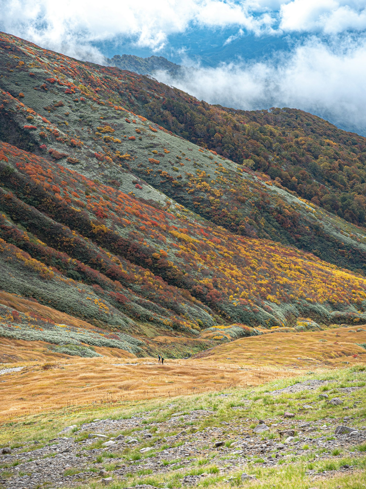 2024-06-mountain-mystery-award-image-15