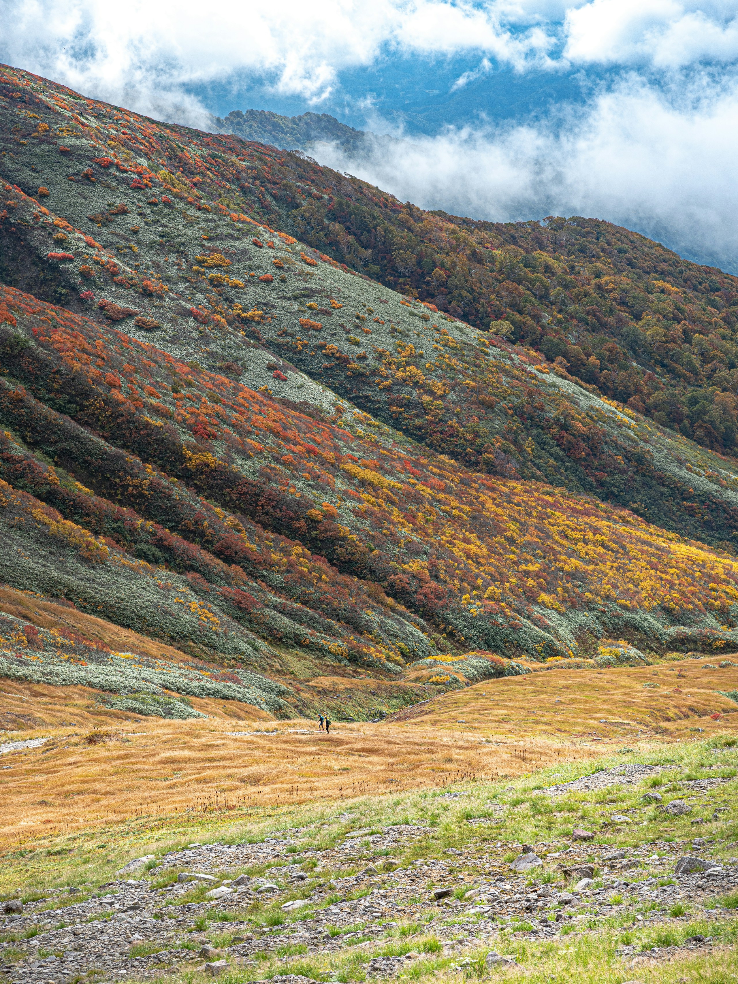 2024-06-mountain-mystery-award-image-15