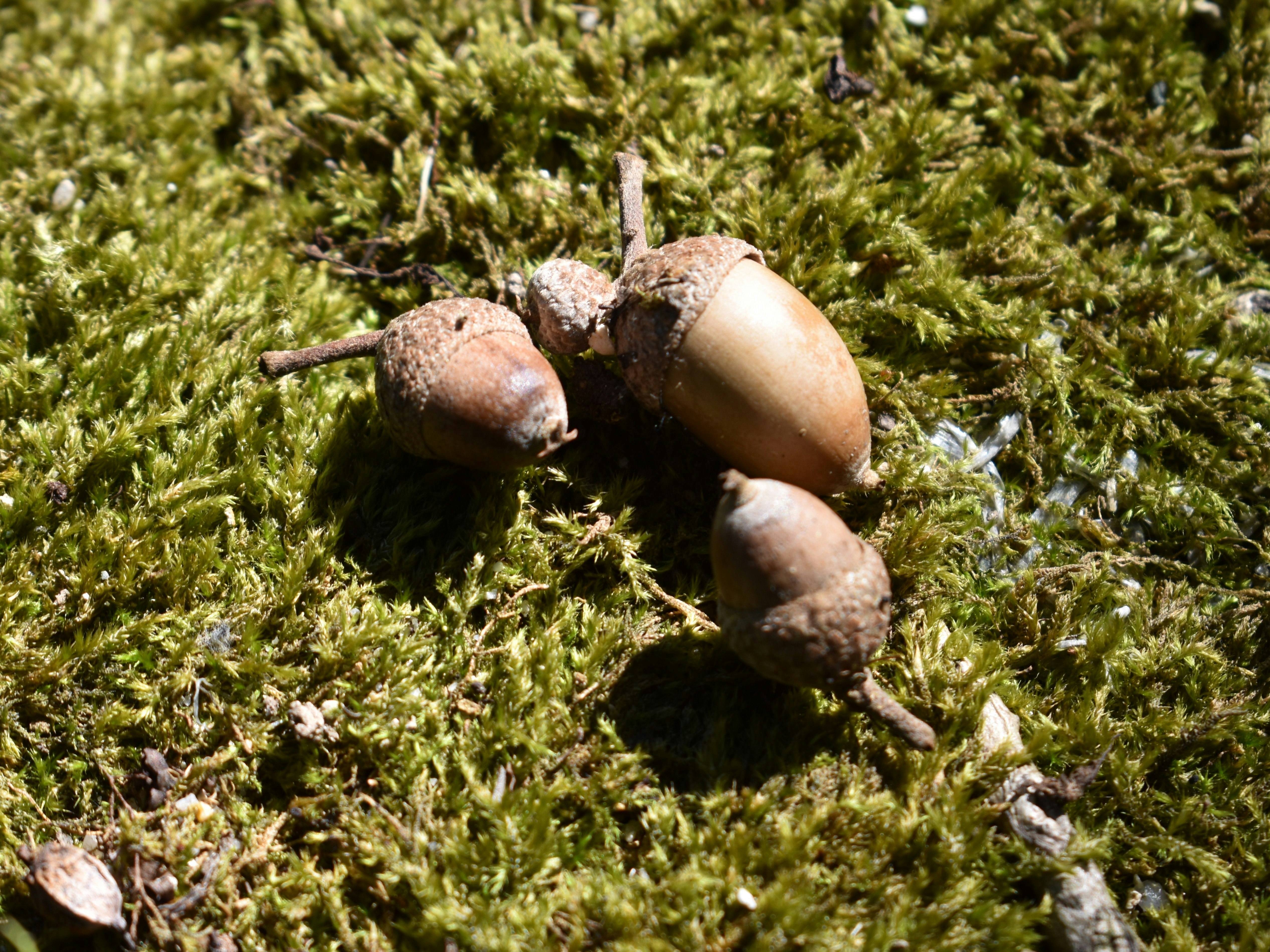 2025-12-parks-vibes-award-image-31