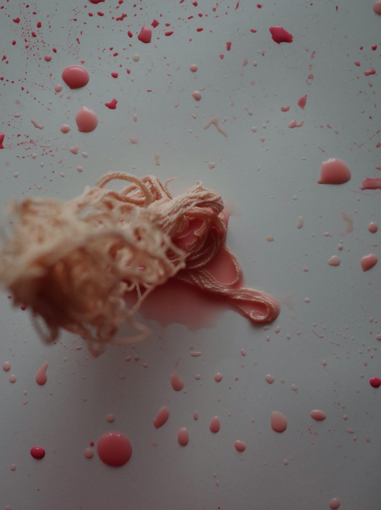 Image by Ikumi Watanabe