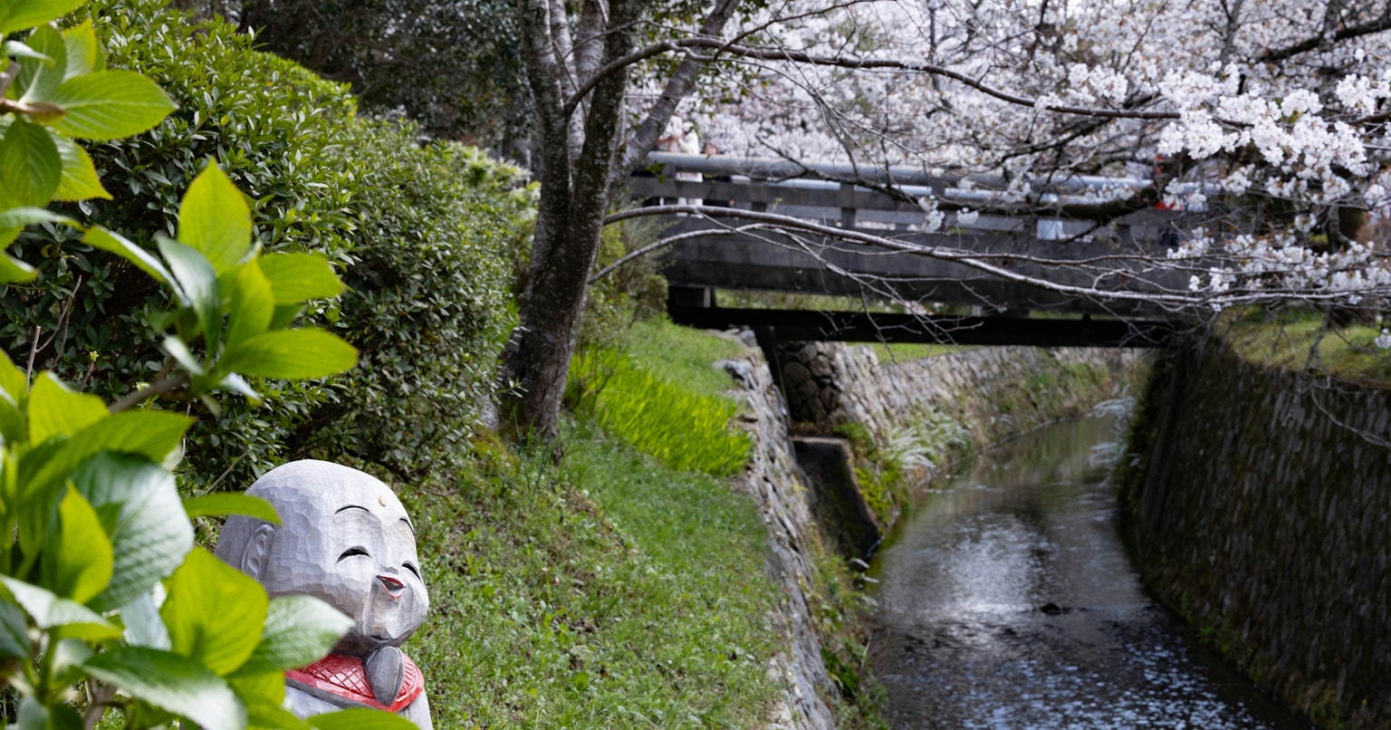 2025-05-something-echoes-cover-image