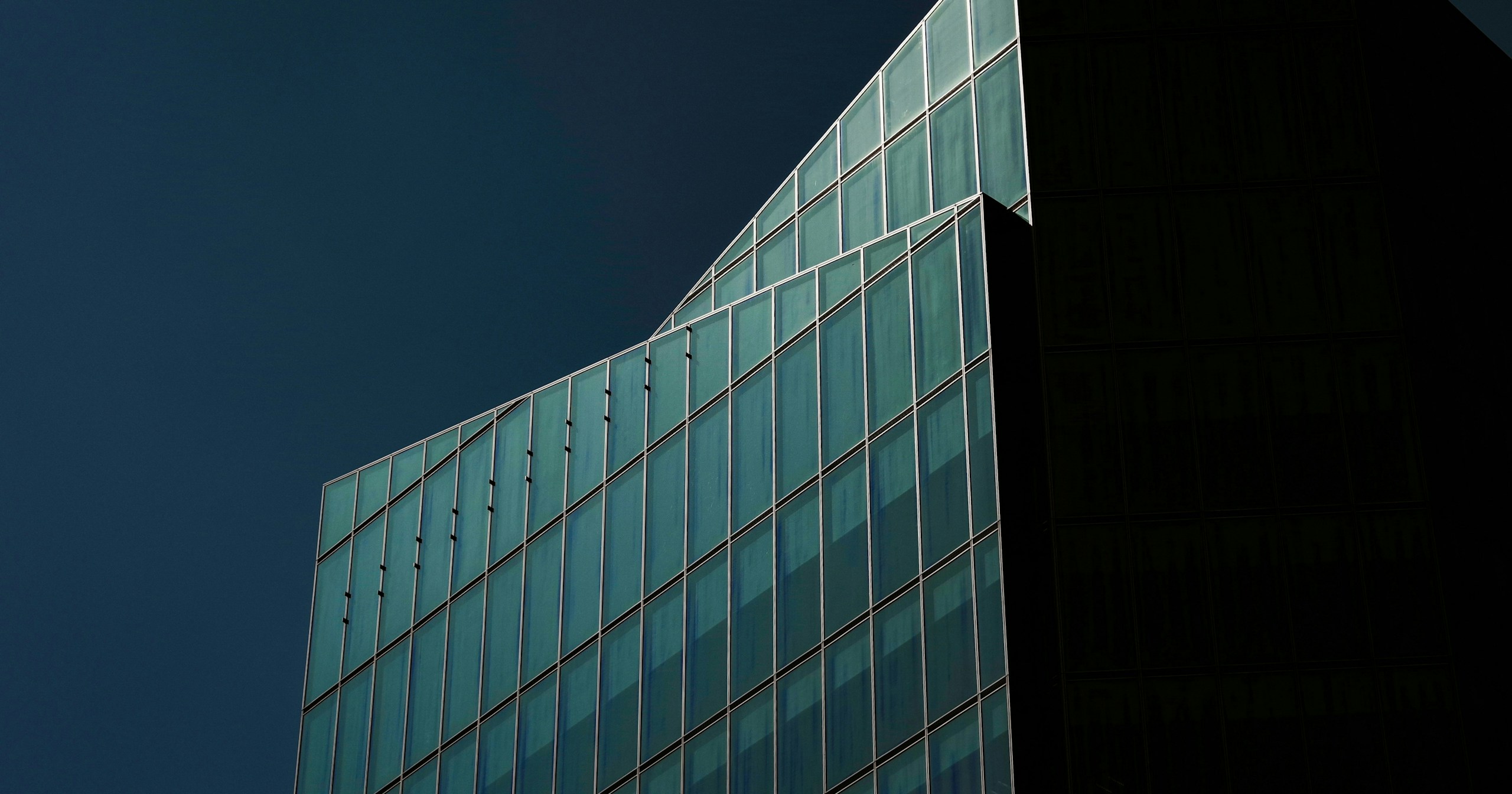Introducing cizucu Editorial Team's 'Featured Works' | Focus #493