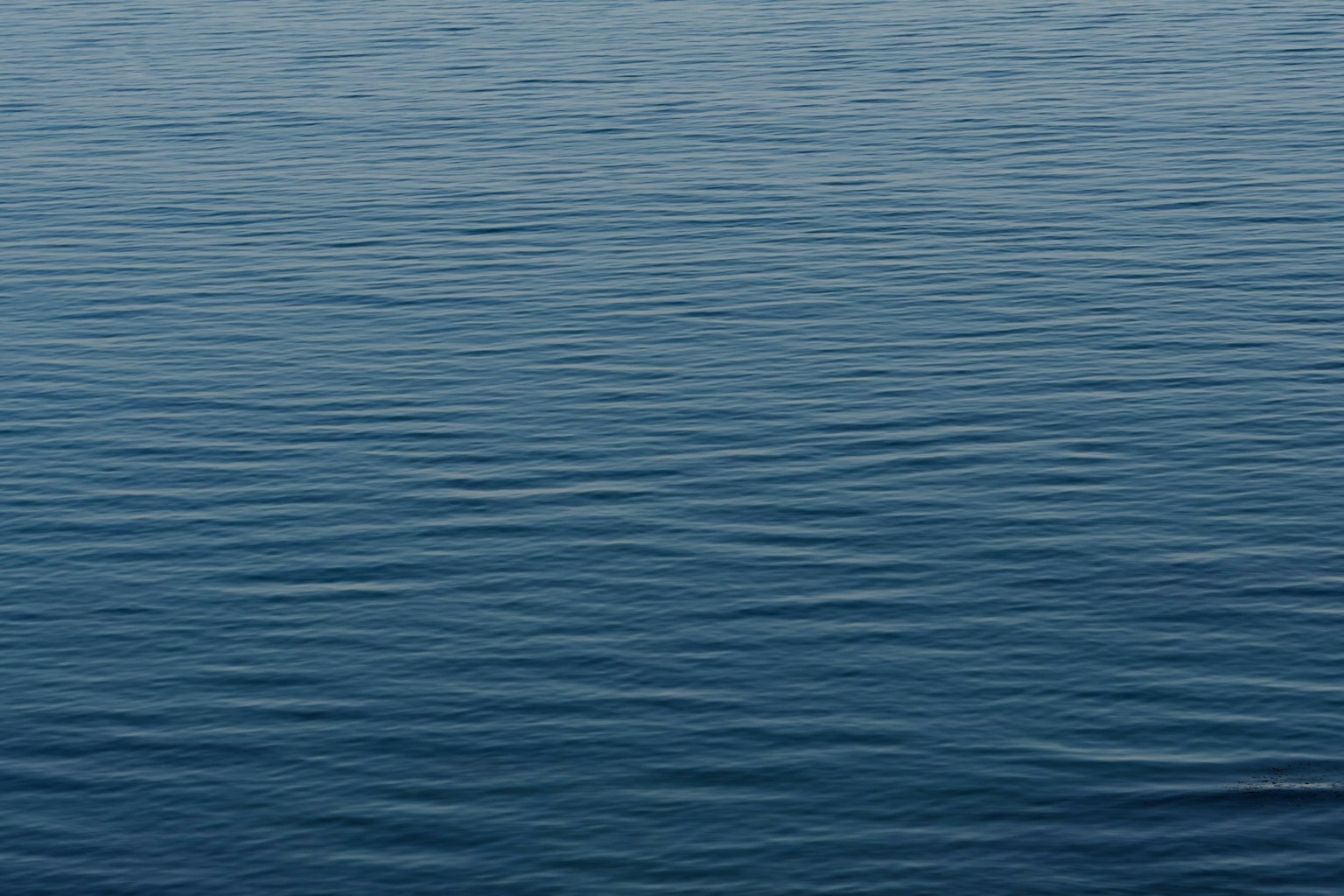 2025-11-beyond-taking-photos-image-4