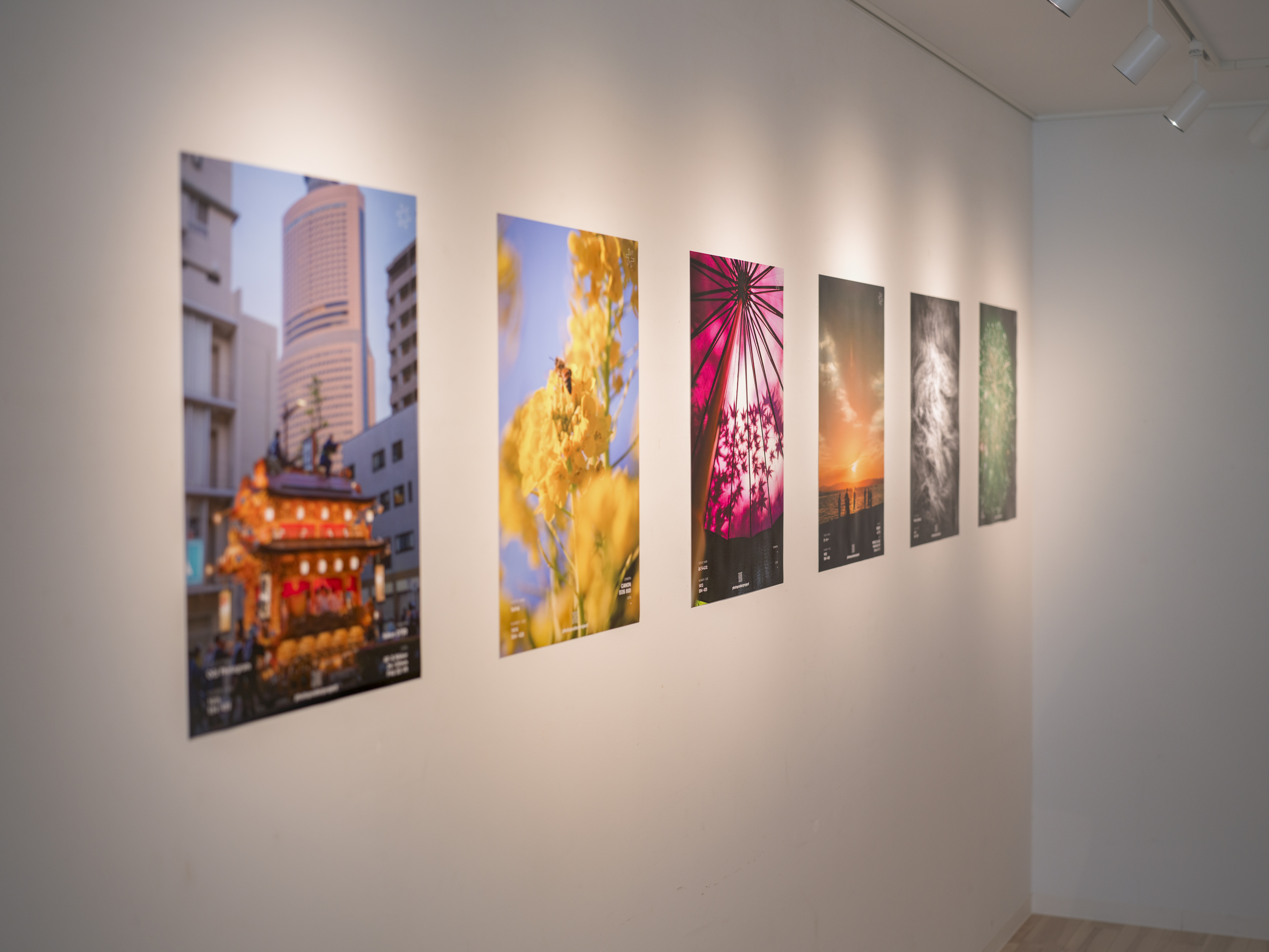 2025-11-ppp-in-shizuoka-report-cover-image