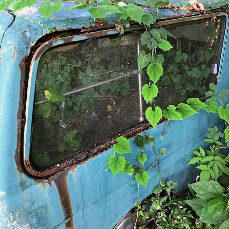 Image by polygon