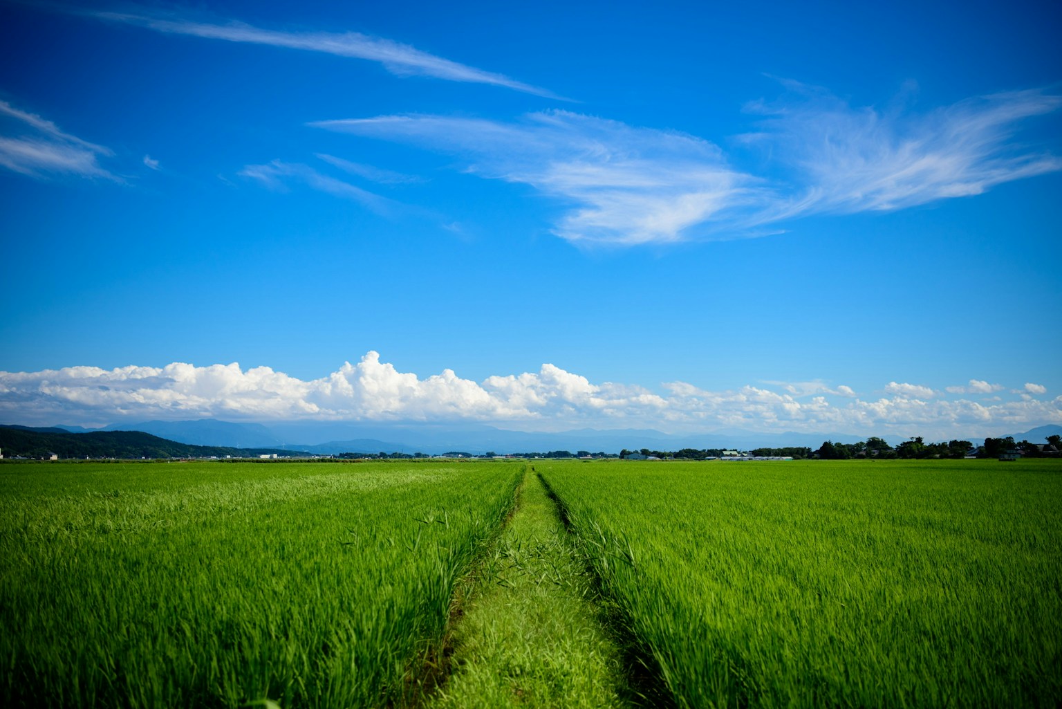 2024-07-summer-sky-image-10