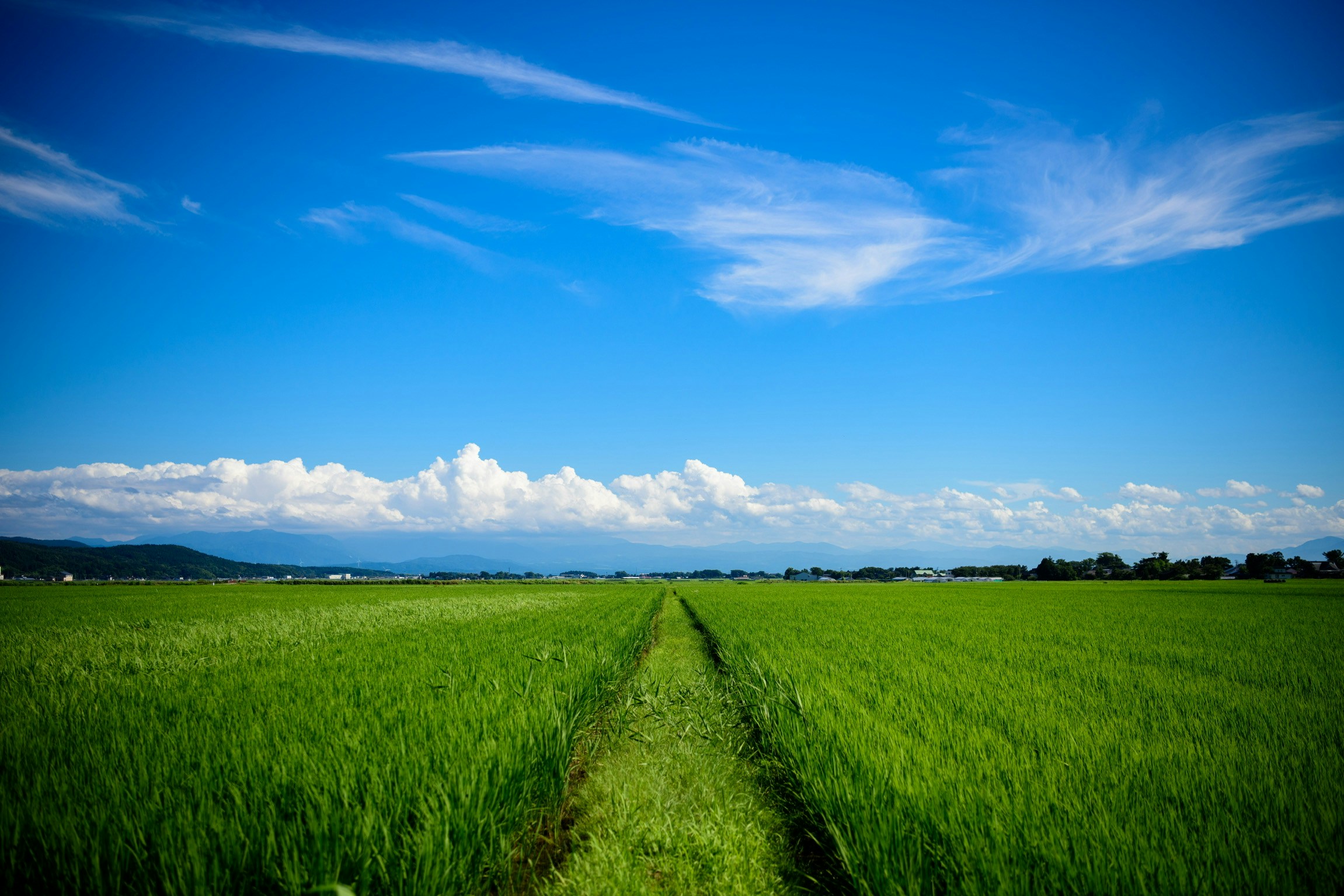 2024-07-summer-sky-image-10