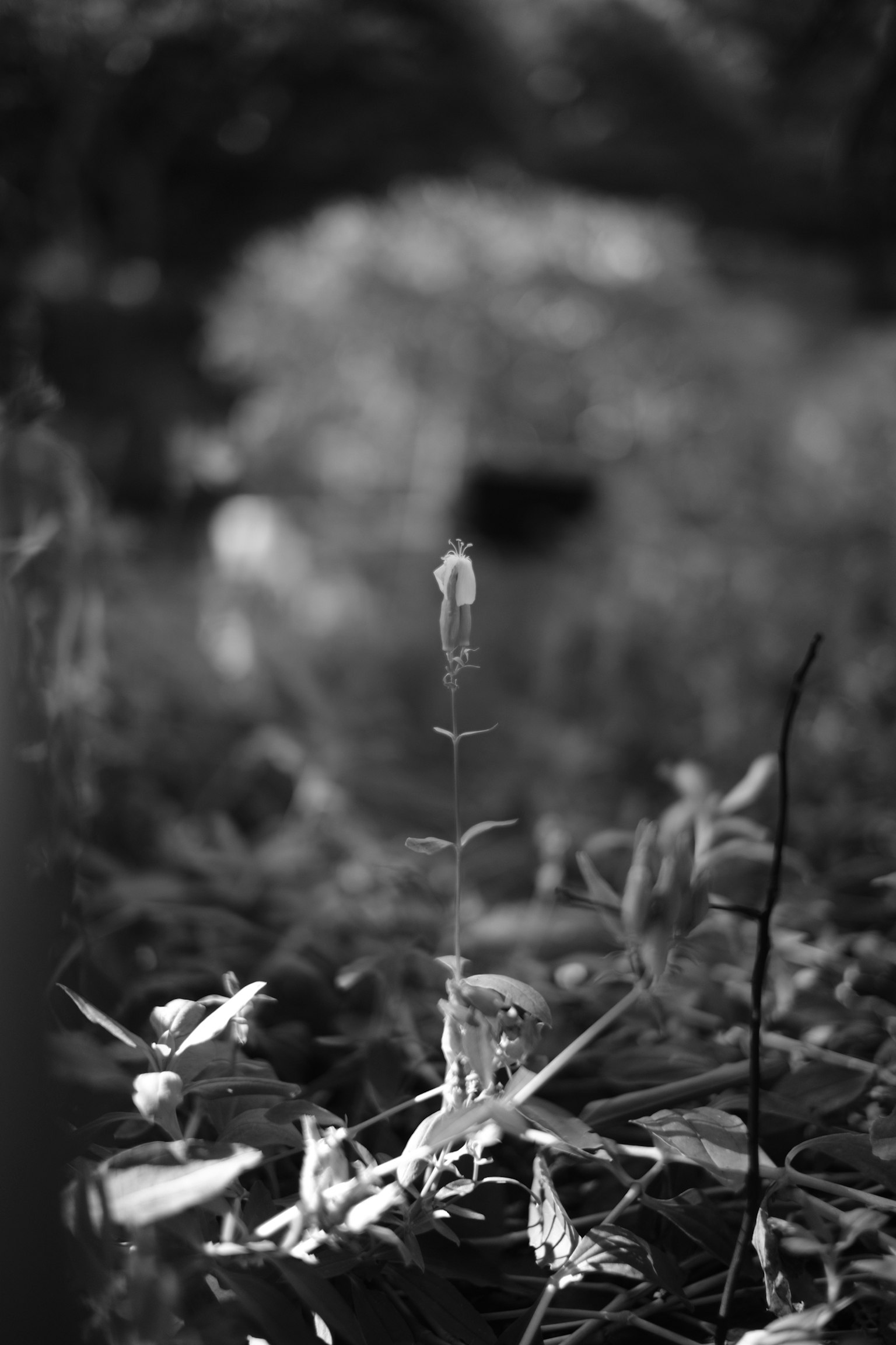 2025-07-masa-find-beauty-in-uncertainty-image-12