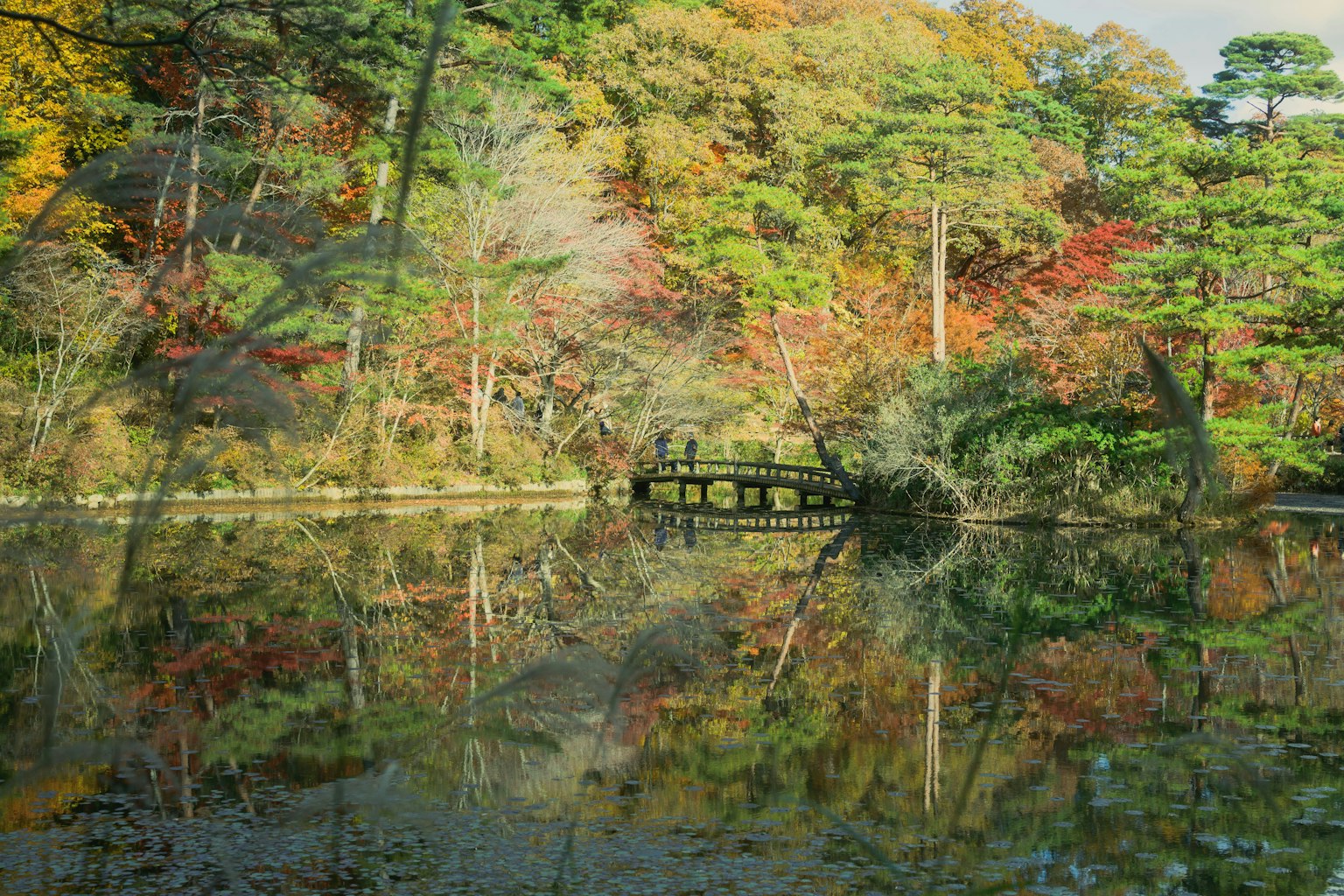 2025-11-beyond-taking-photos-image-12