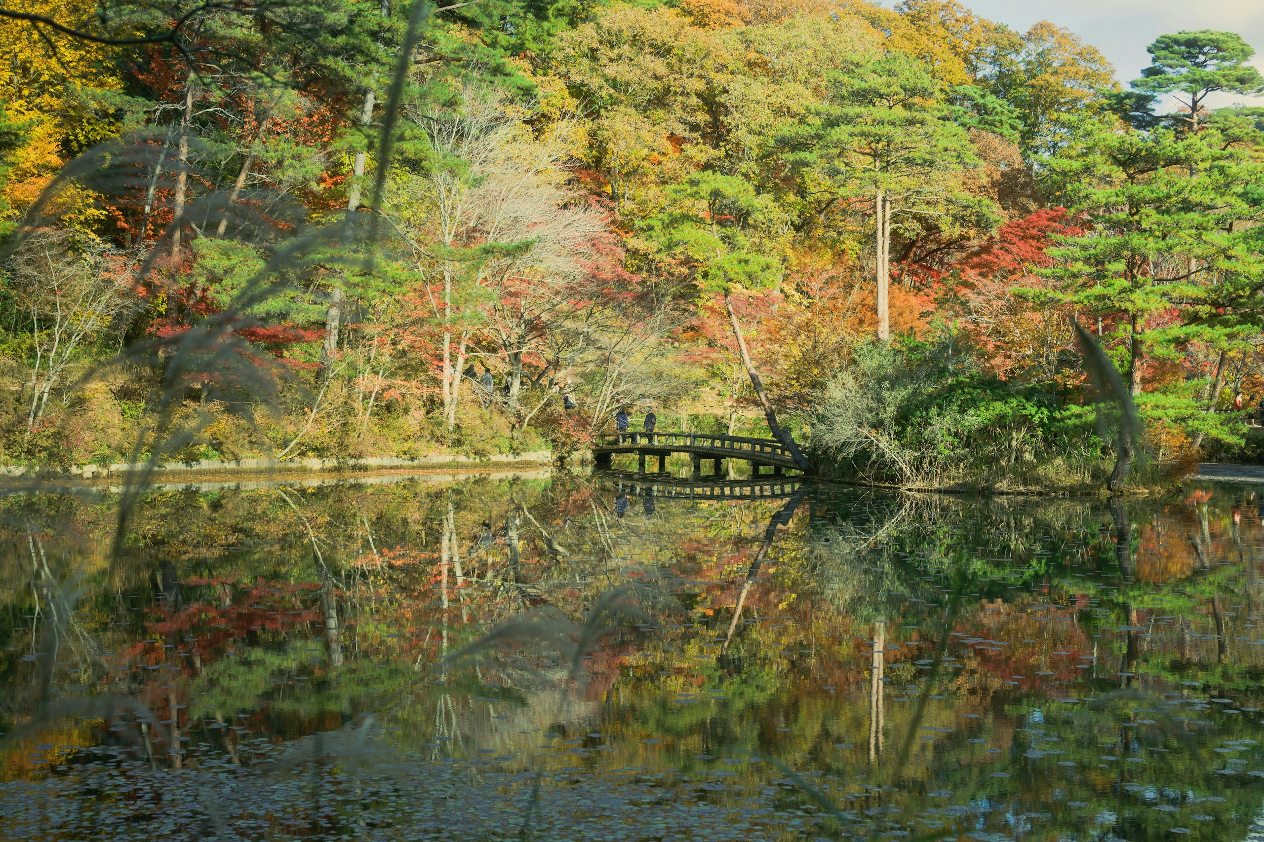 2025-11-beyond-taking-photos-image-12