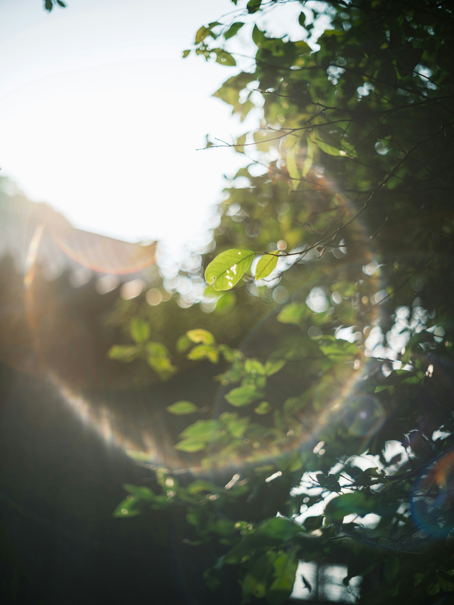 2025-08-world-without-photogaphy-image-2