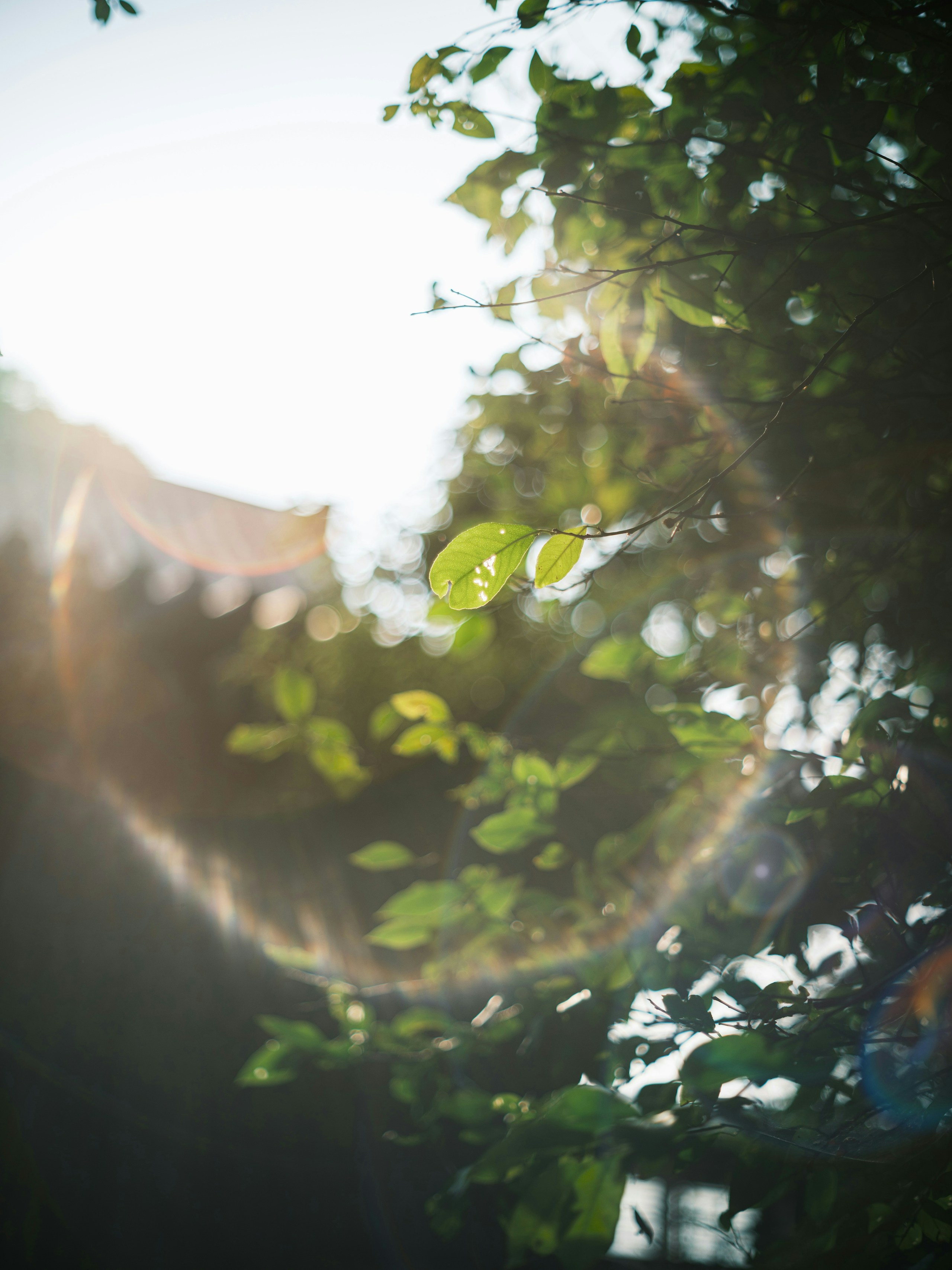 Photo by Yuya