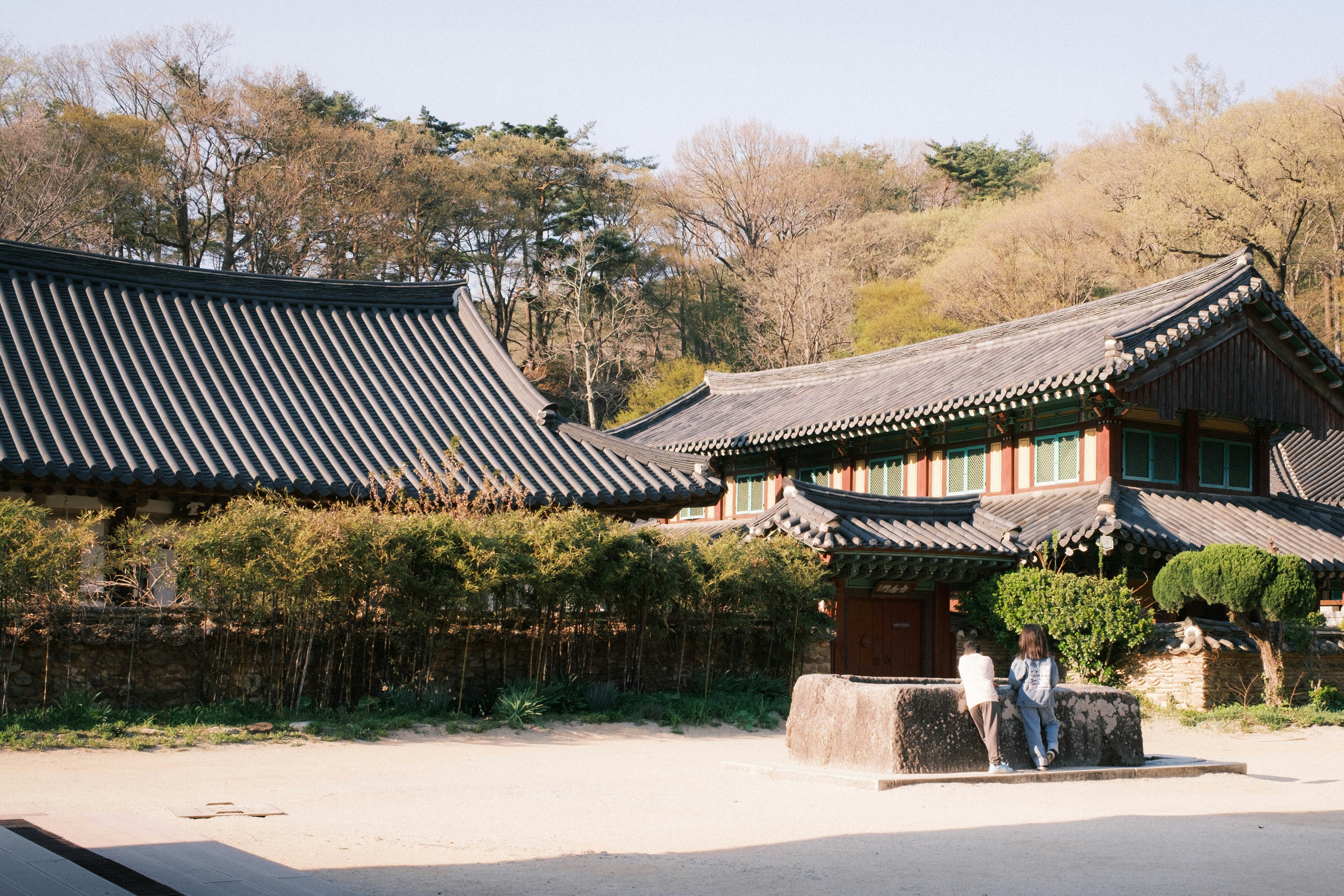 2026-04-read-your-photography-before-photograph-cover-image