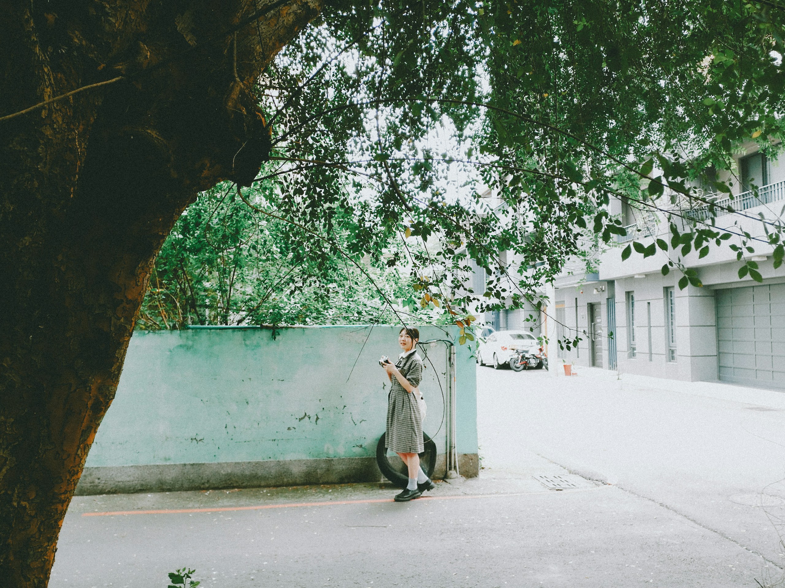 2026-06-camell-photography-community-image-13