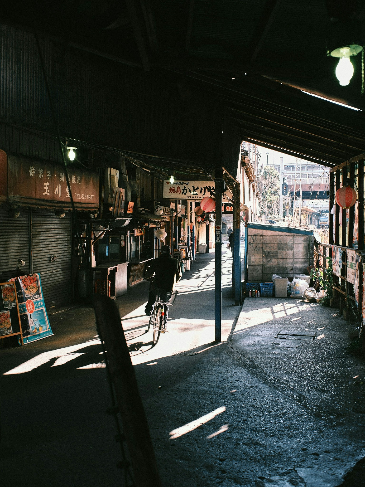 2025-12-shadows-of-light-image-8