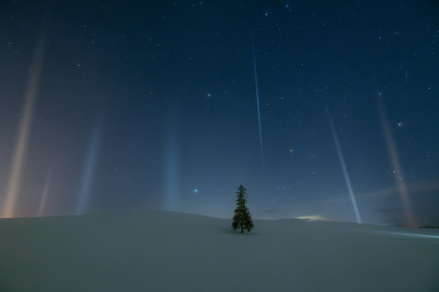 2024-03-winter-magic-image-20